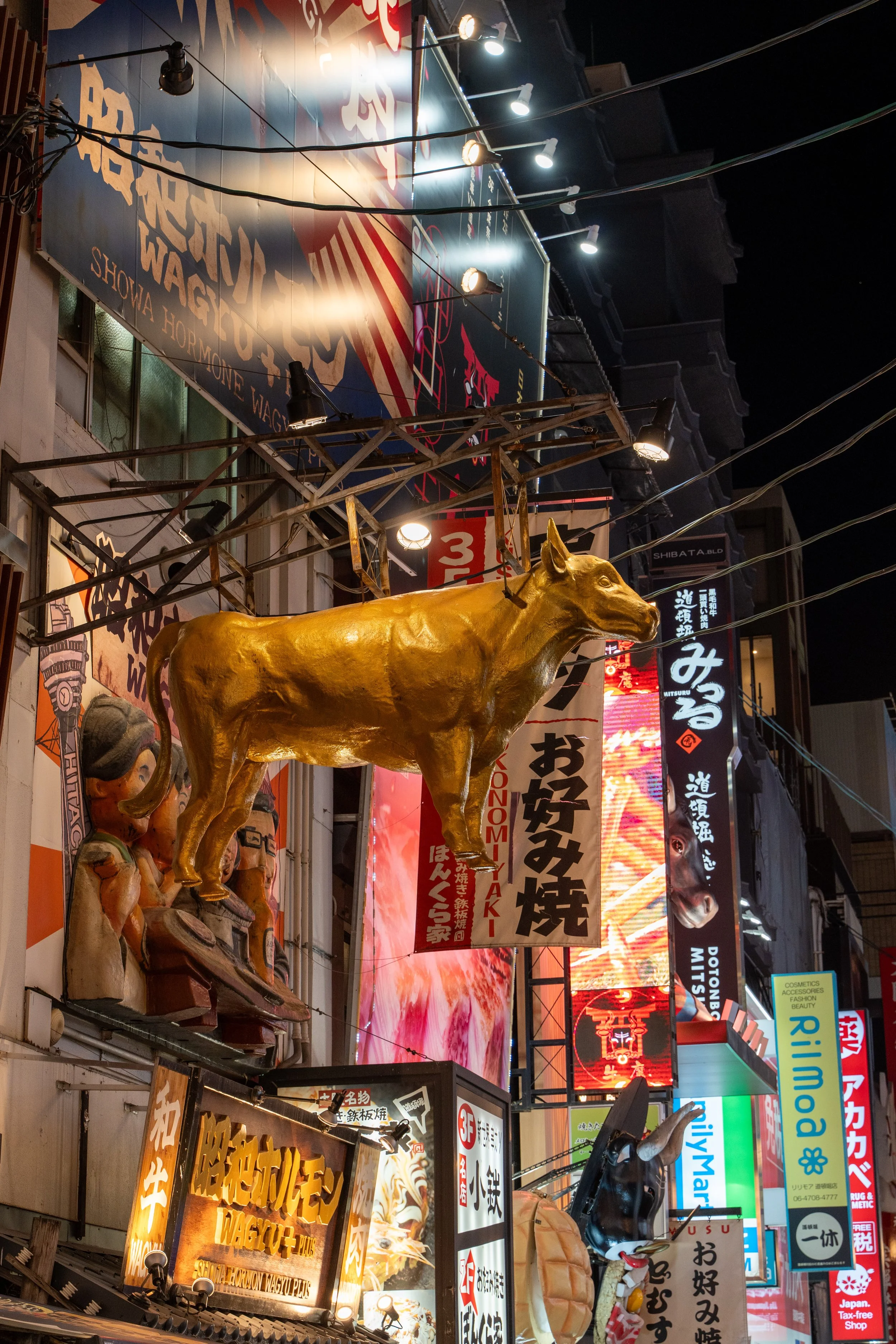 japan_nicolas_lourme-140.jpg