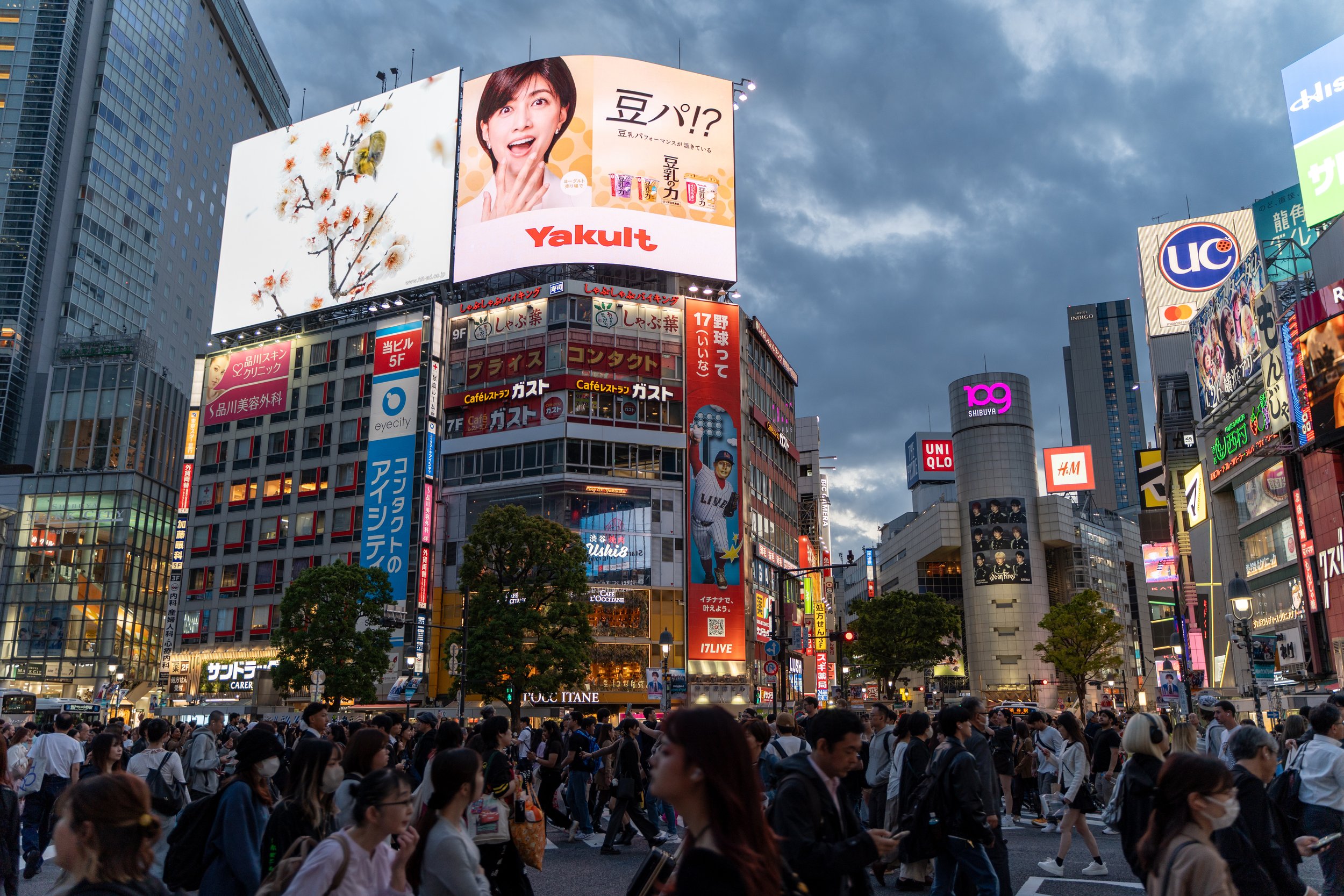 japan_nicolas_lourme-063.jpg