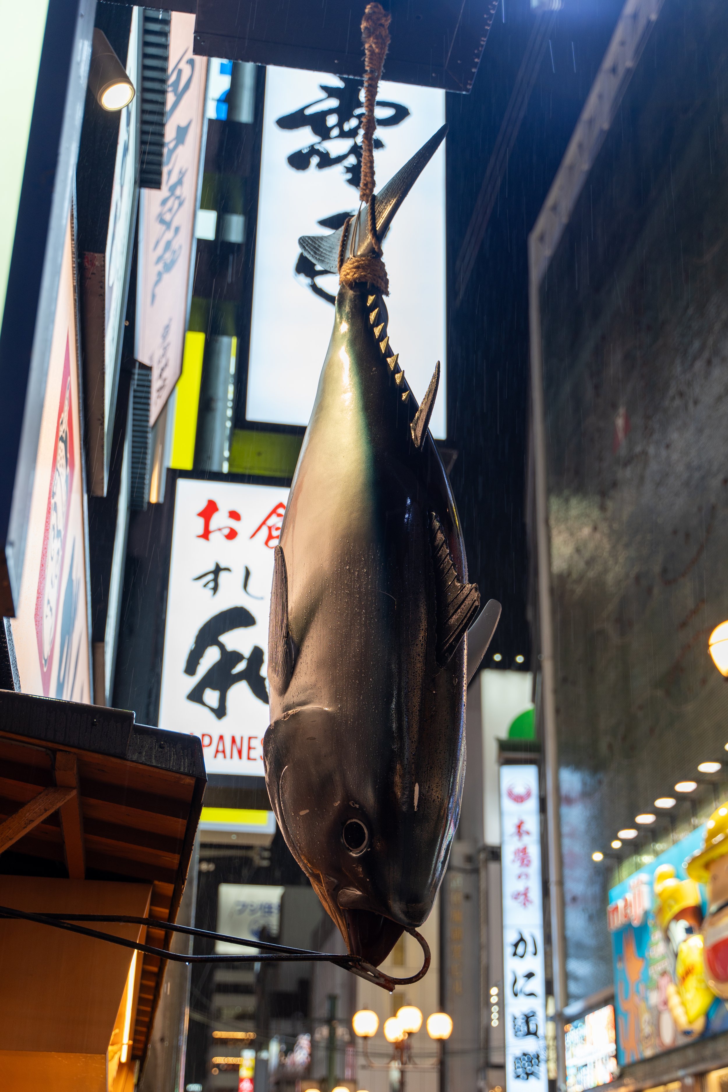 japan_nicolas_lourme-148.jpg