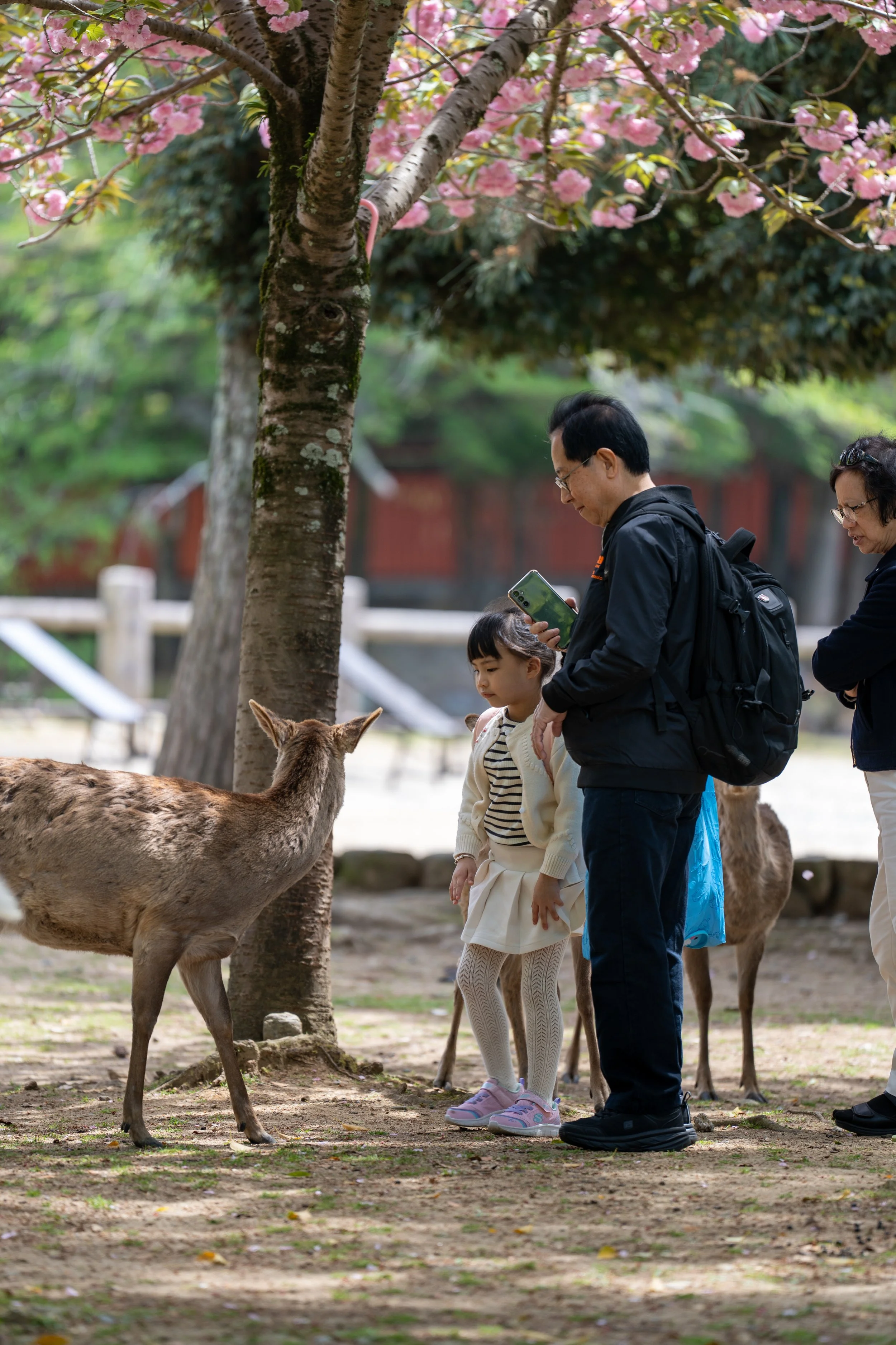 japan_nicolas_lourme-153.jpg