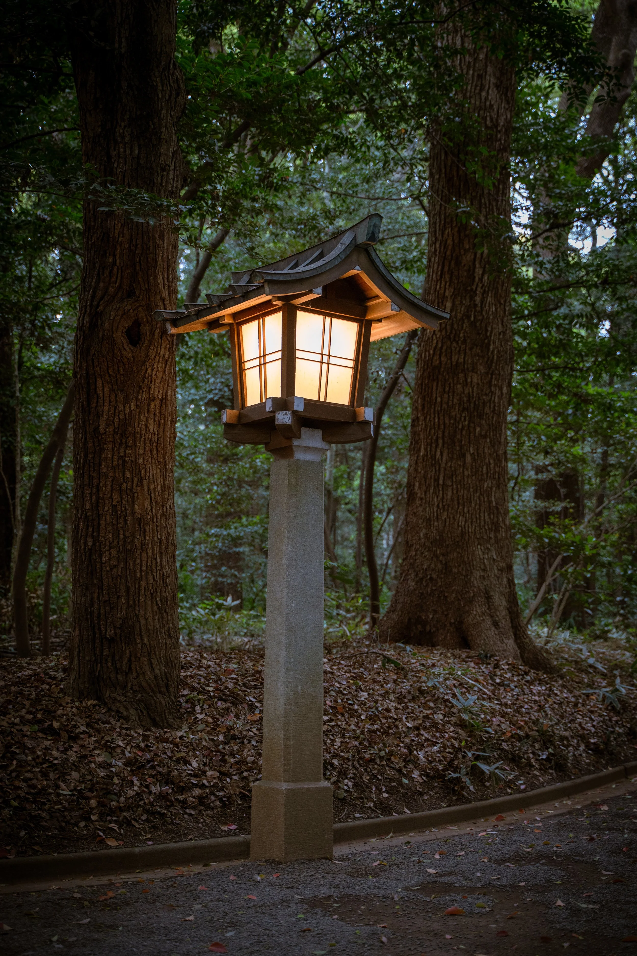 japan_nicolas_lourme-060.jpg