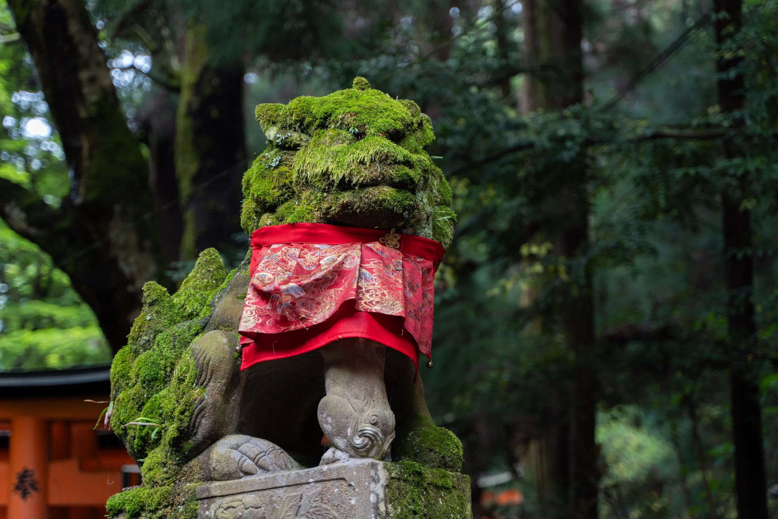 japan_nicolas_lourme-118.jpg
