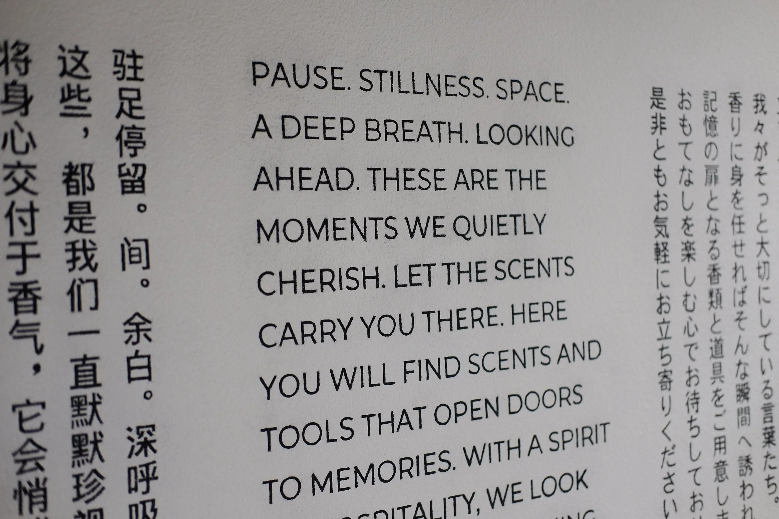 DSCF6764.JPG