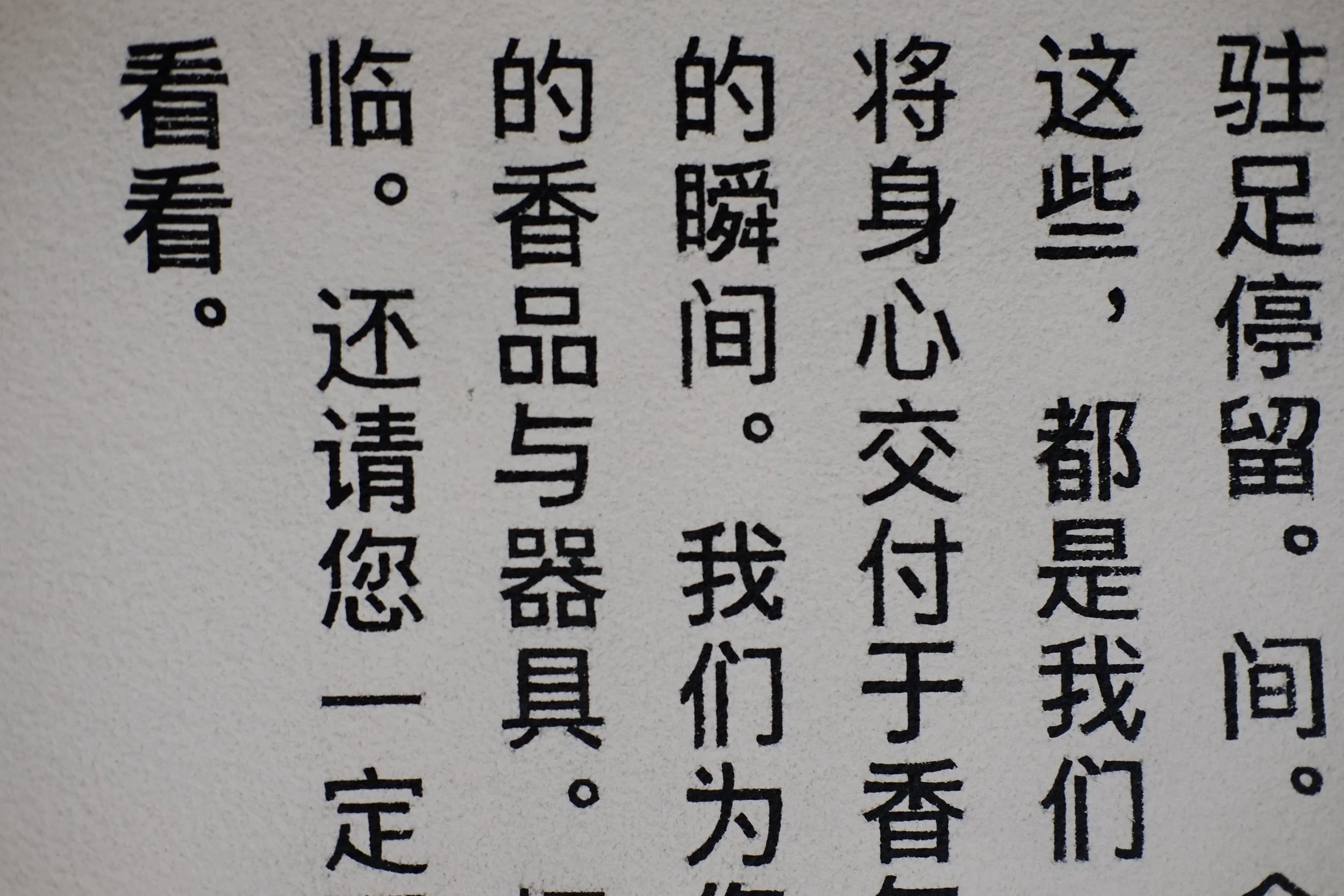 DSCF6776.JPG