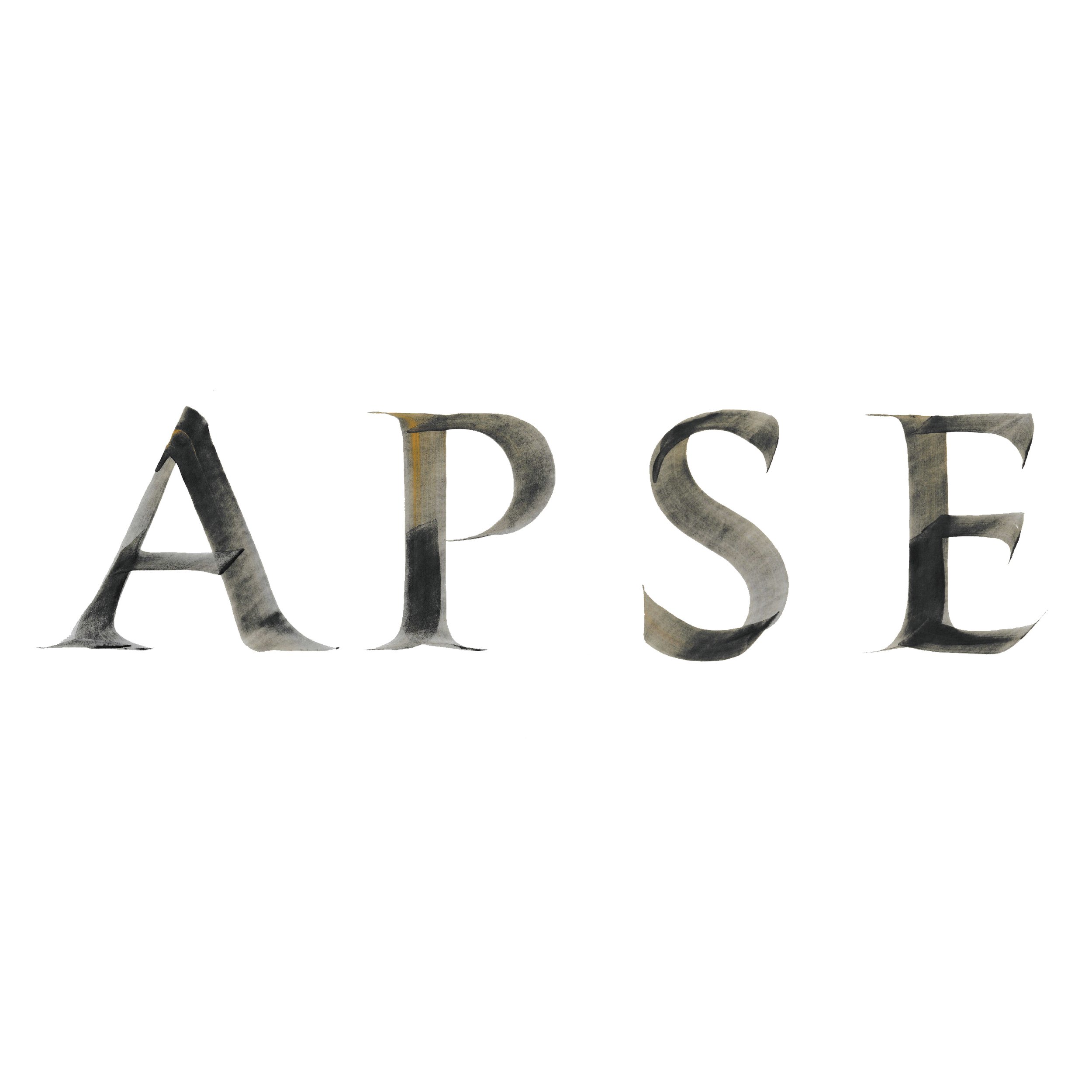 APSE STORE
