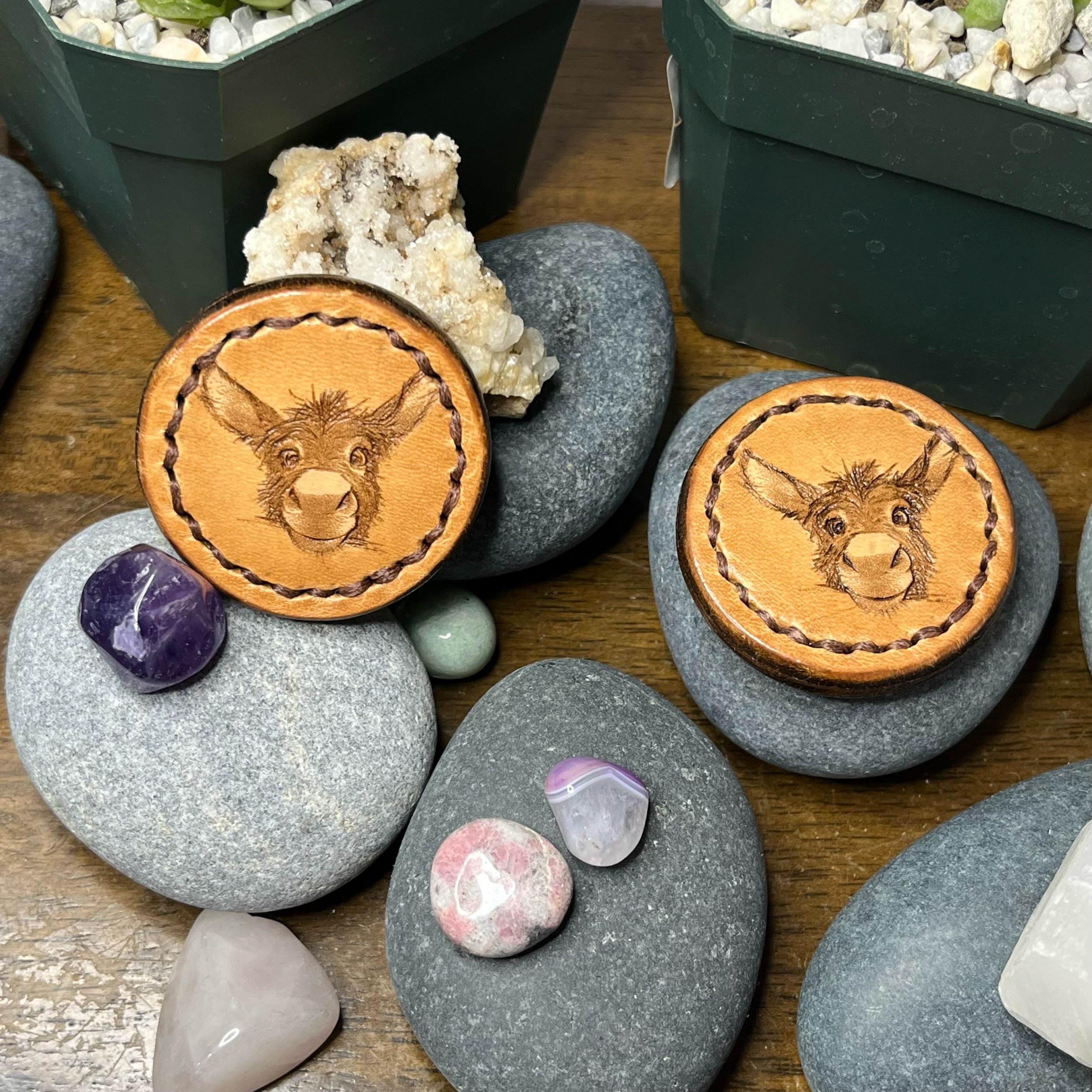 Donkey - Leather Fidget Magnet Set