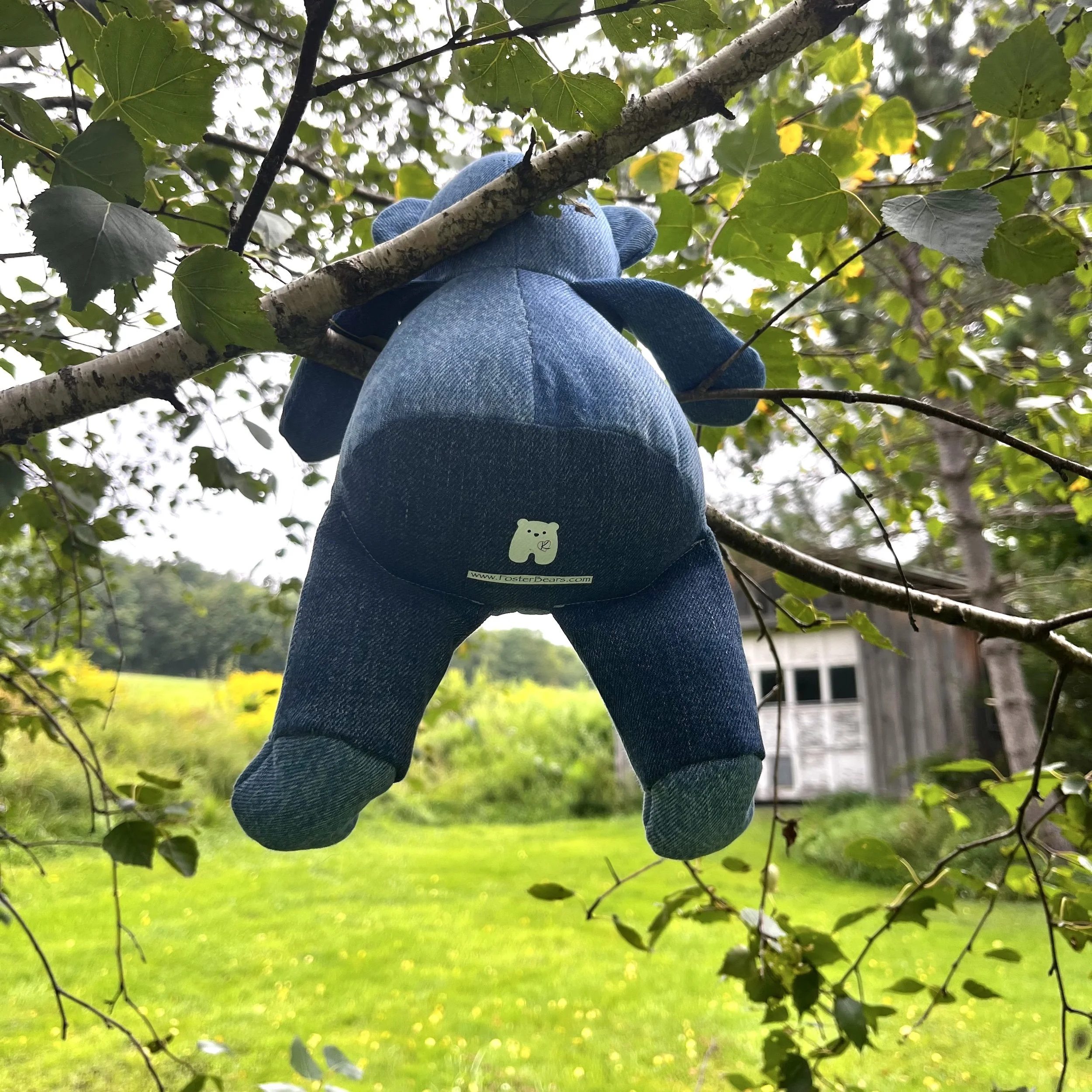 LittleBear014-3.jpeg