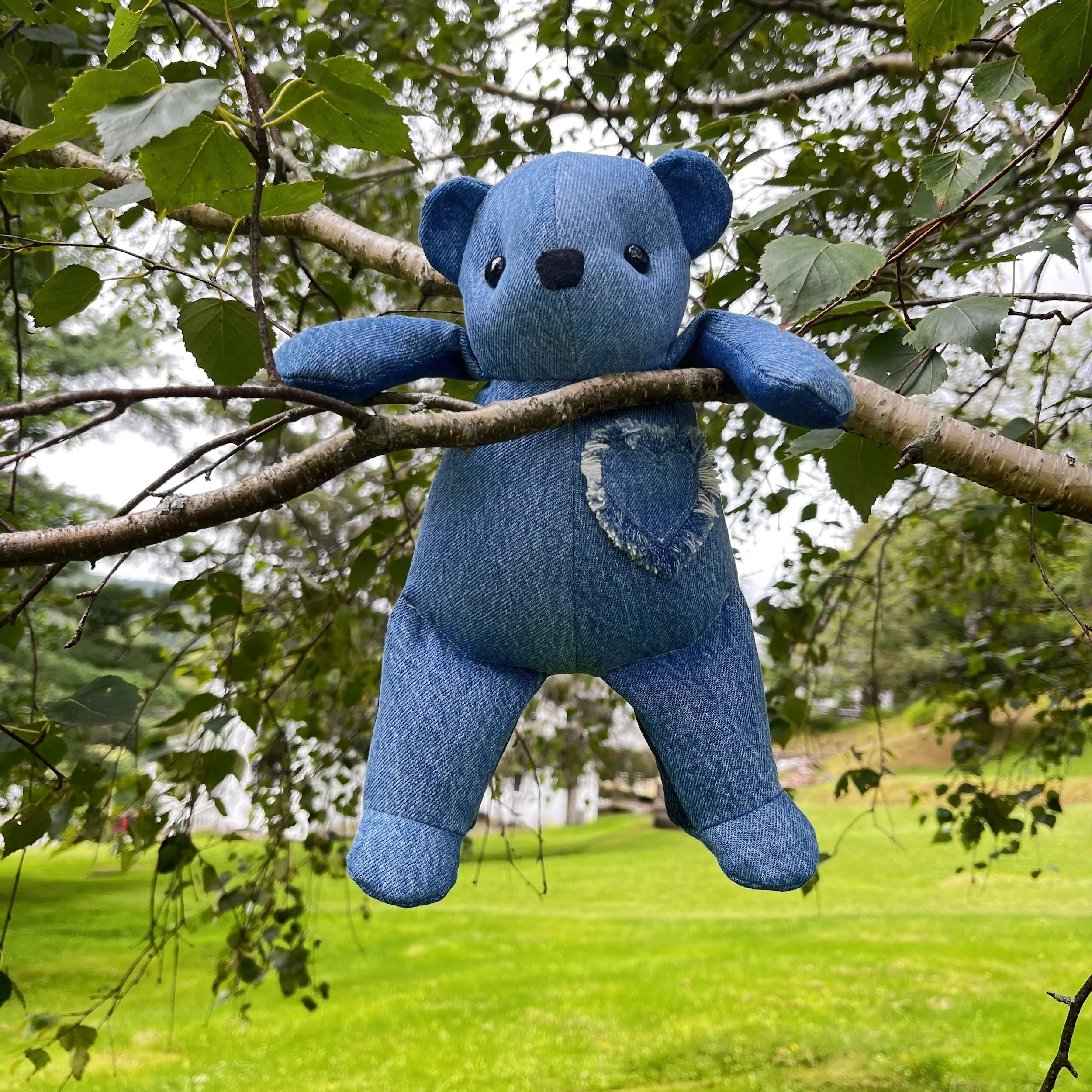 LittleBear014-2.jpeg