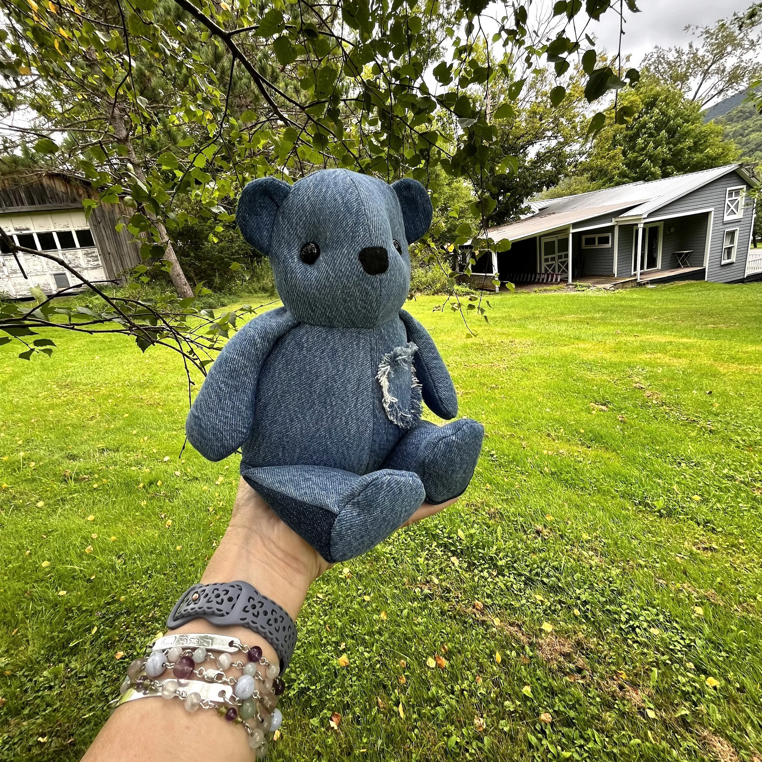 LittleBear014-4.jpeg