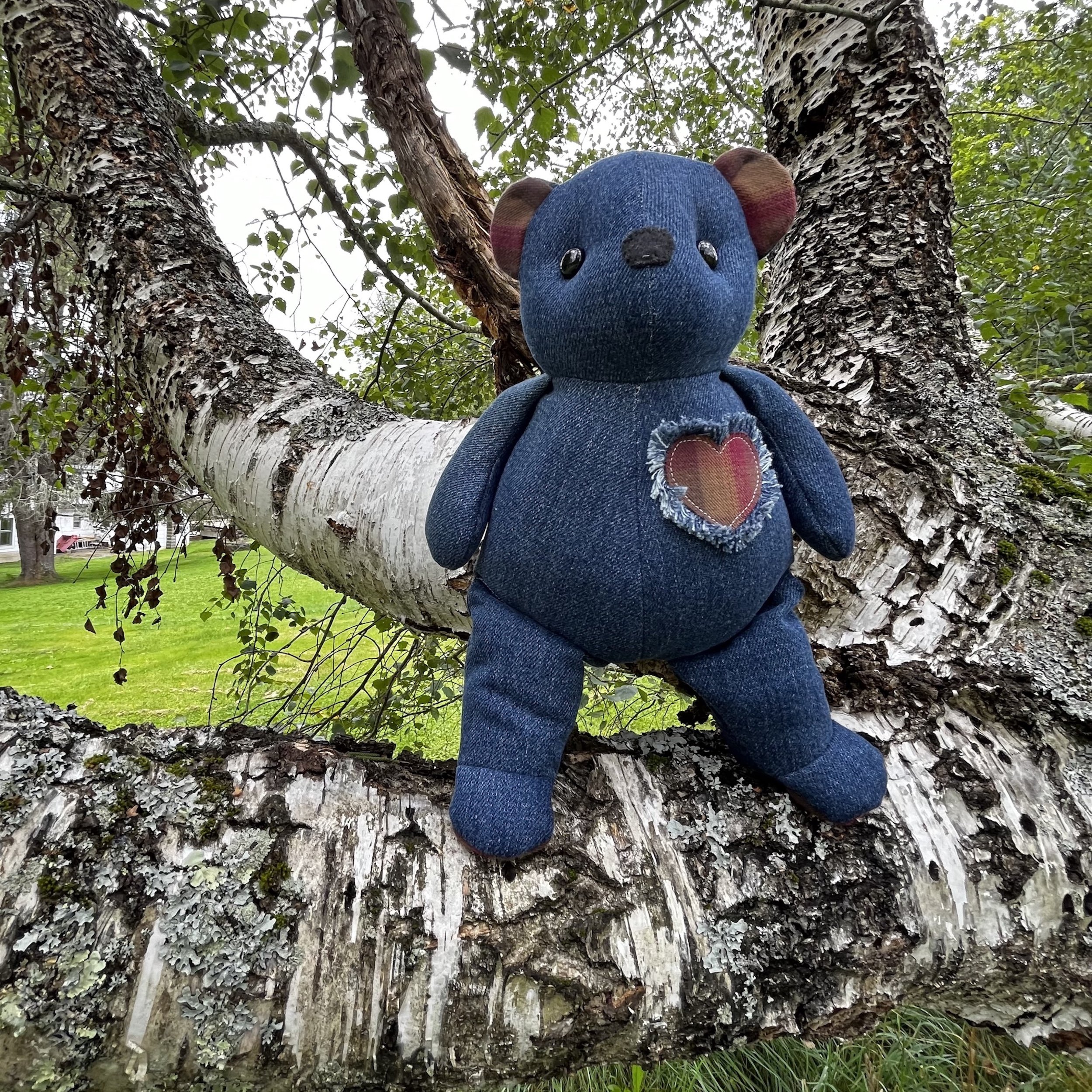 LittleBear012-5.jpg
