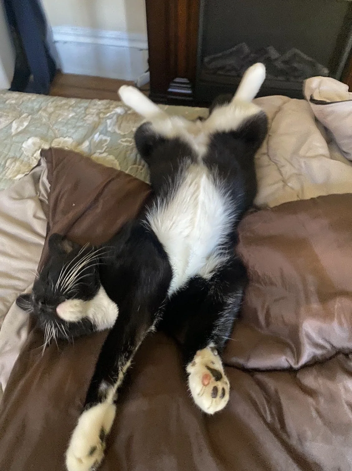 A tuxedo cat lies stretched full length on a soft surface, completely relaxed with legs in the air, demonstrating "rest"