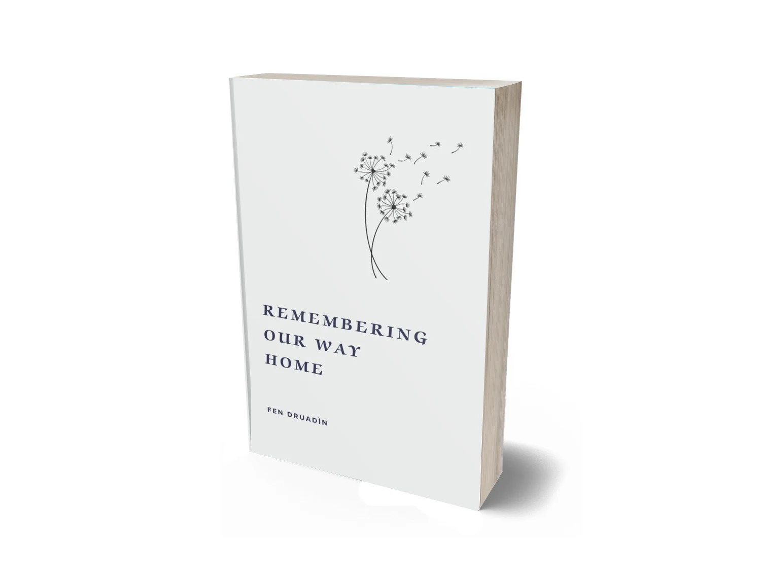 Remembering Our Way Home Cover 3D.jpg