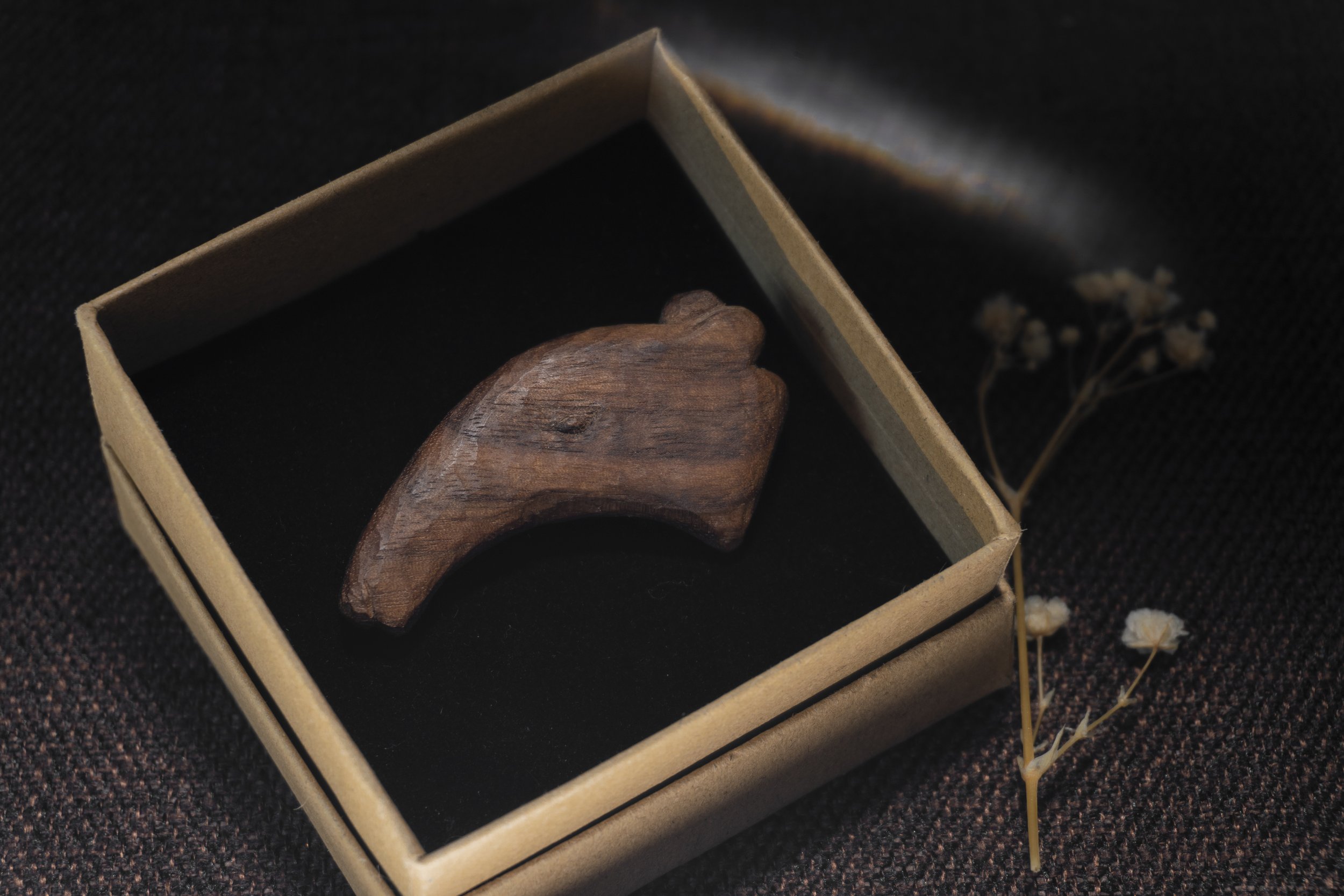 Anteater | 30 Animal Series | Handmade Wooden Brooch