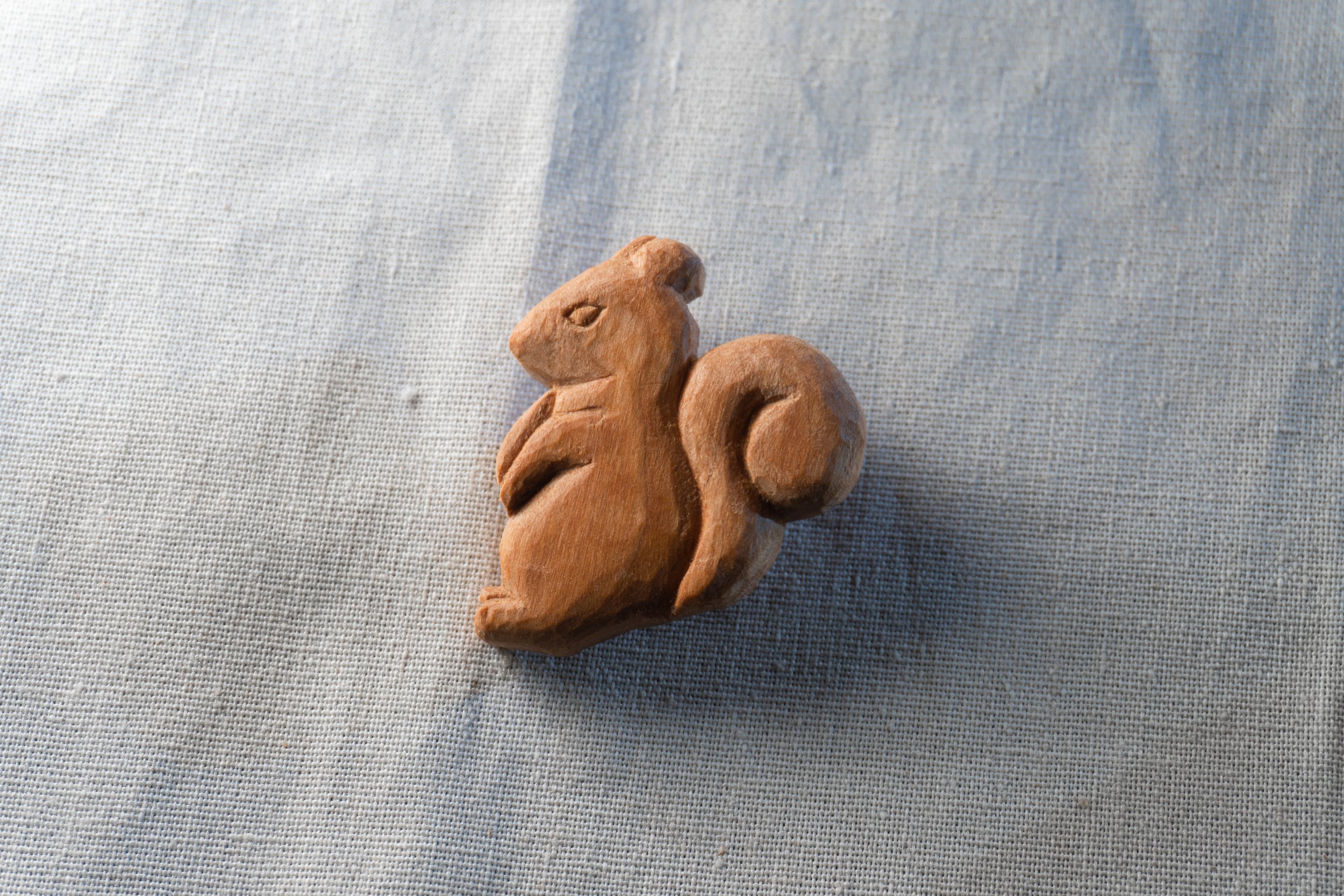 squirrel_d.jpg