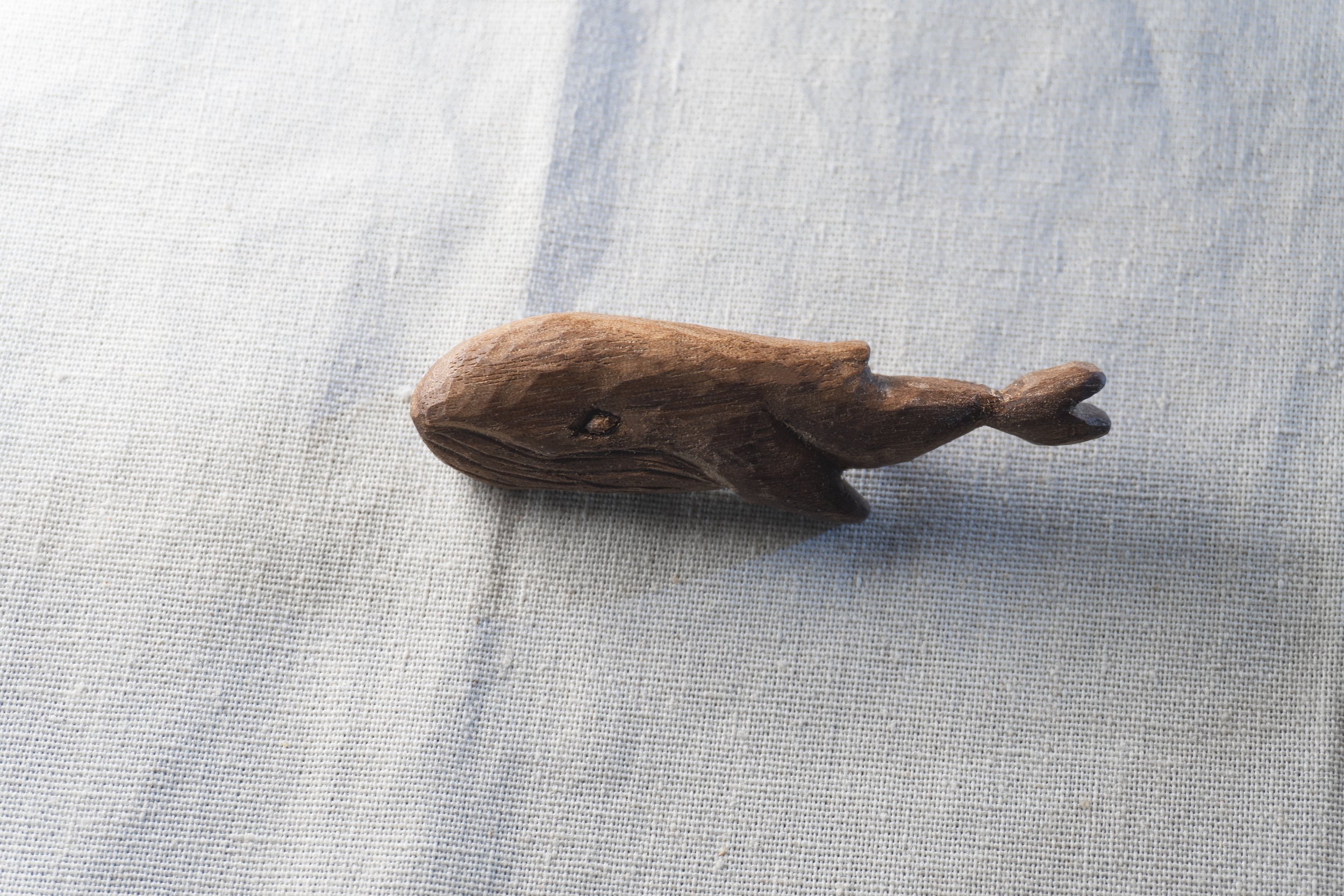 whale.jpg