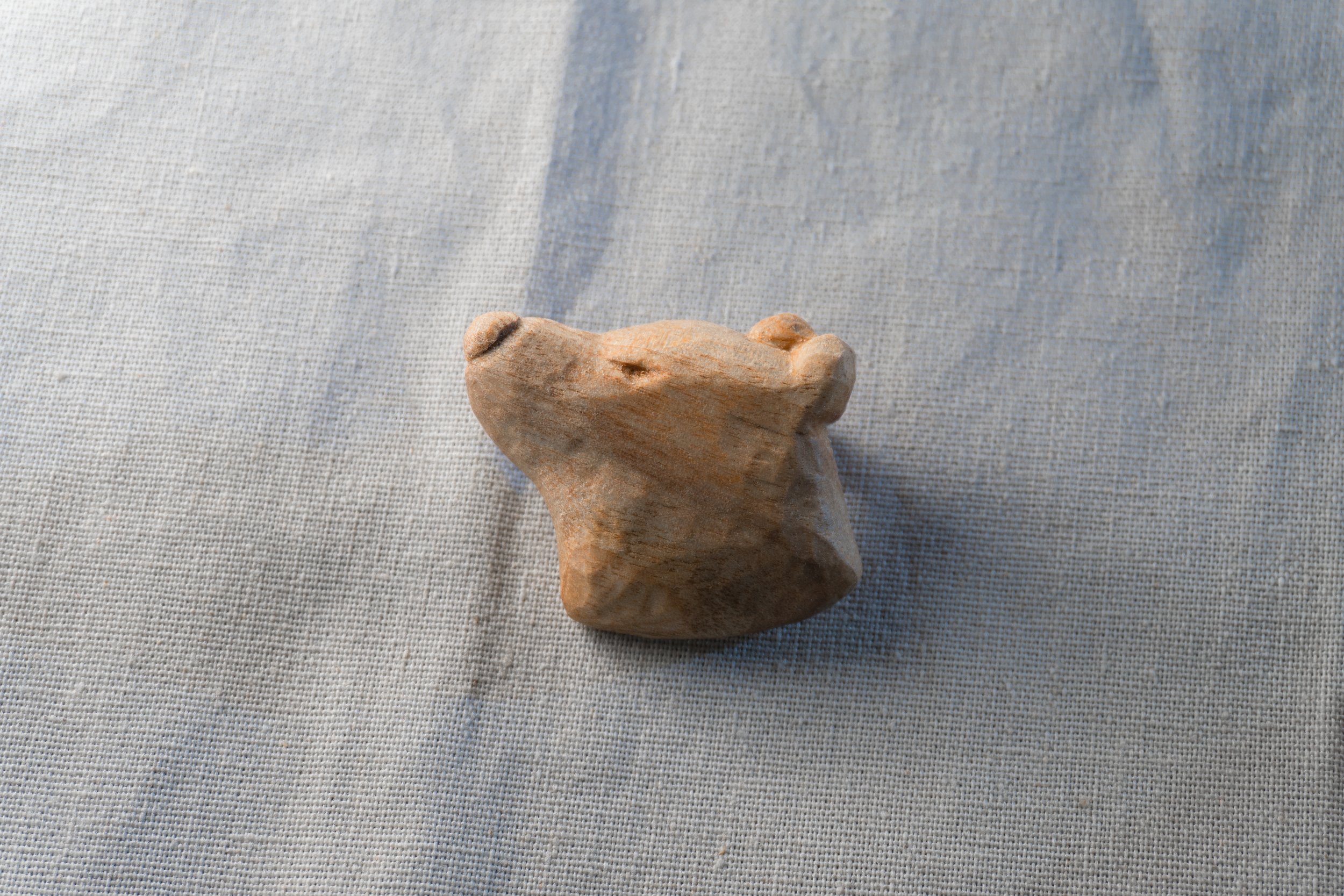 polarbear_d.jpg