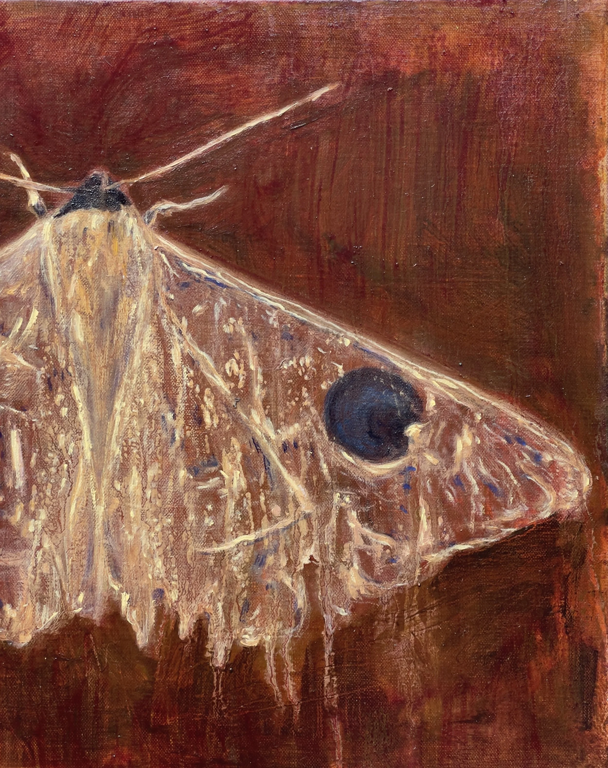 The Listener (detail)
Oil on linen 
50.5 x 40.5cm