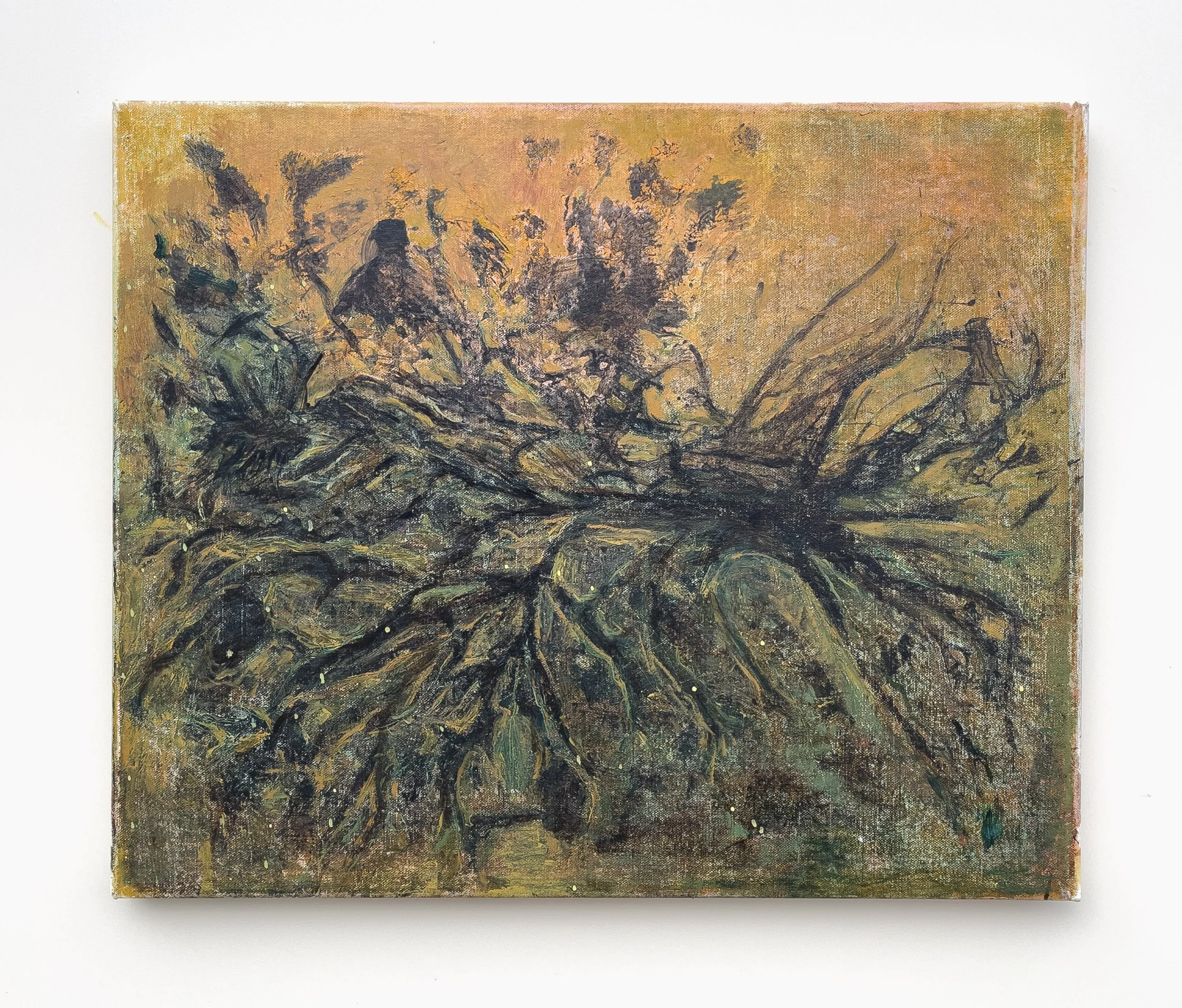 LaurenFahey_Pioneer_2025_Oil and acrylic on canvas_56x 46x2cm.jpg