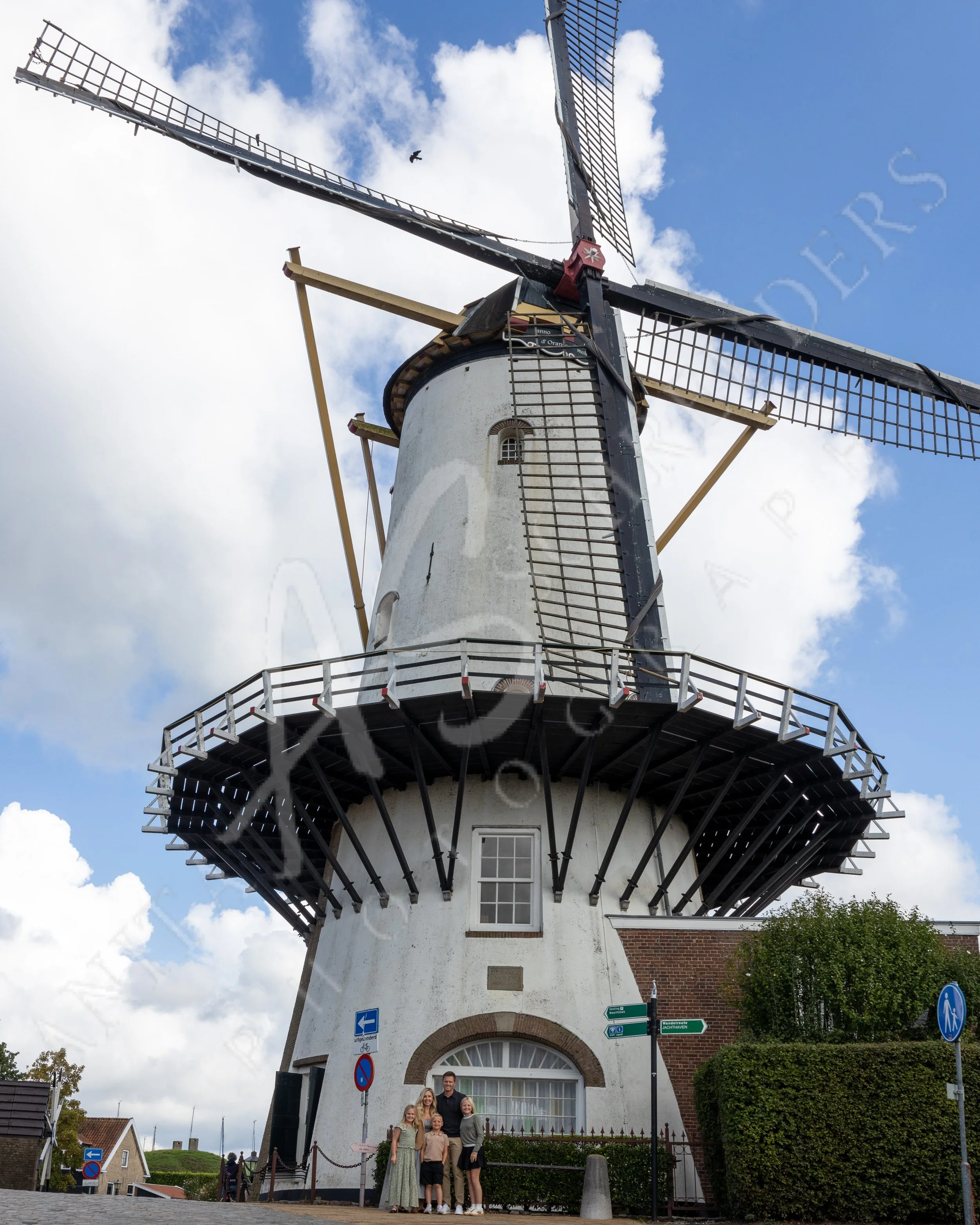 IMG_7799.jpg