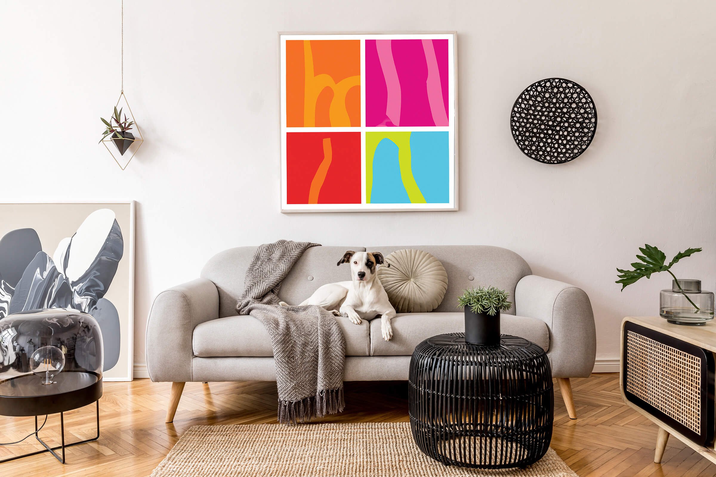 Modena Colour living dog.jpg