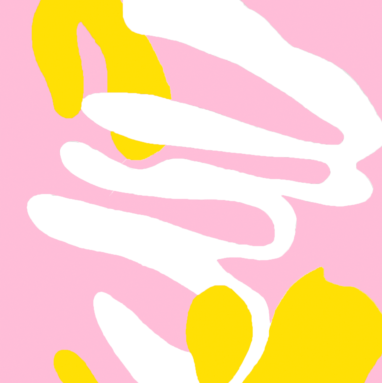 PinkYellowVerticalCloseUpview.png