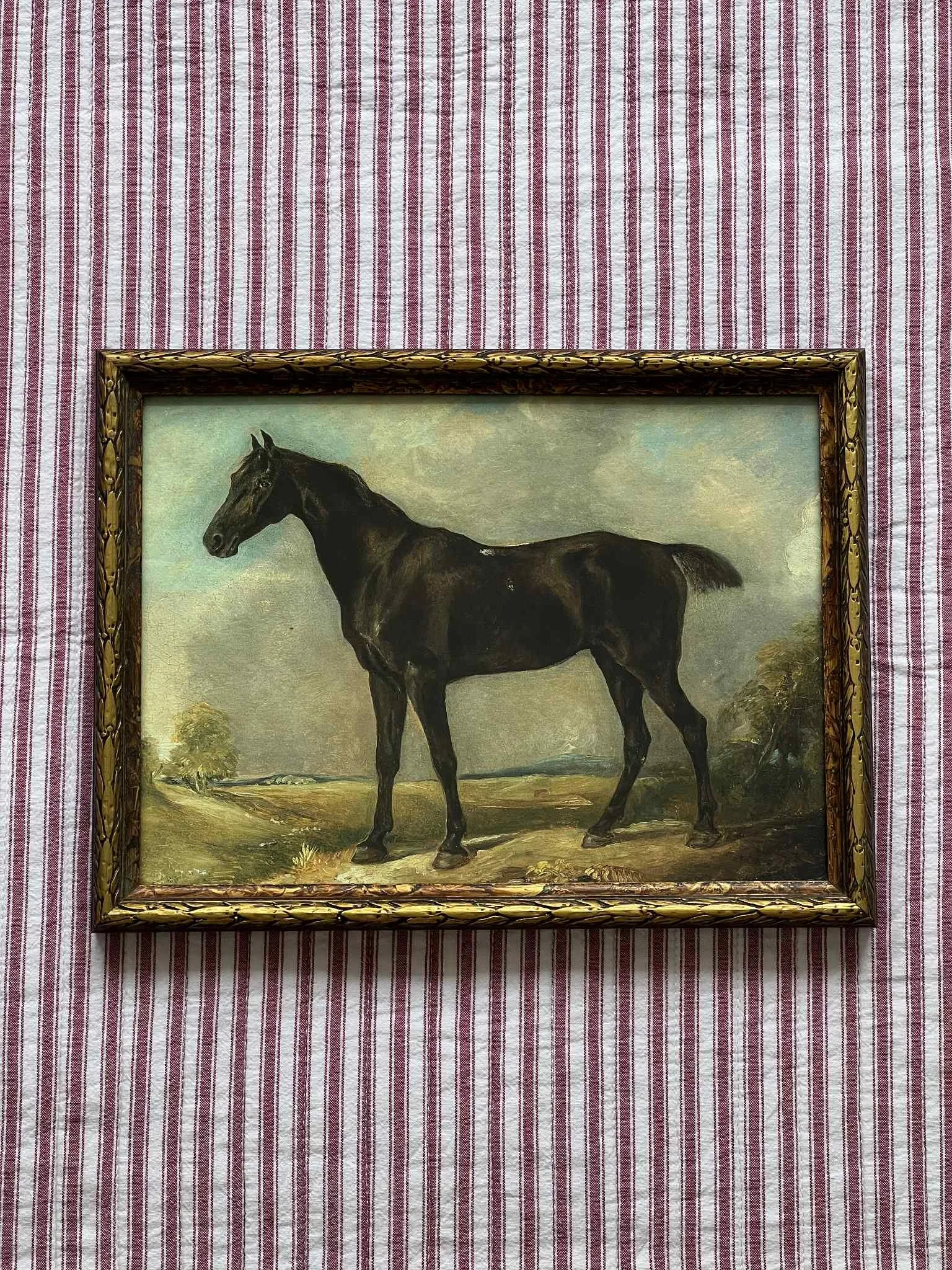 'English Horse' framed print
