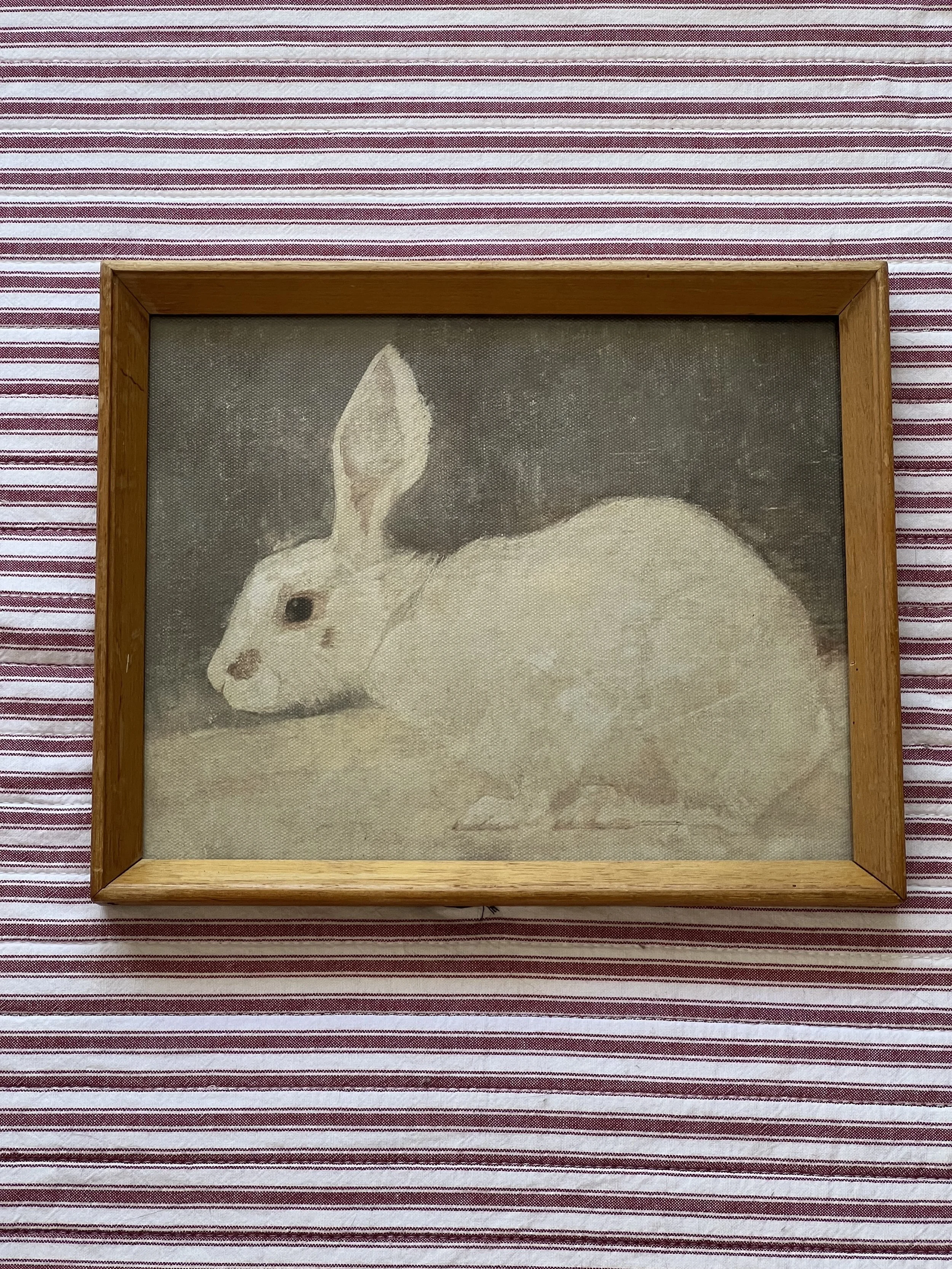 ‘Rabbit’ framed print
