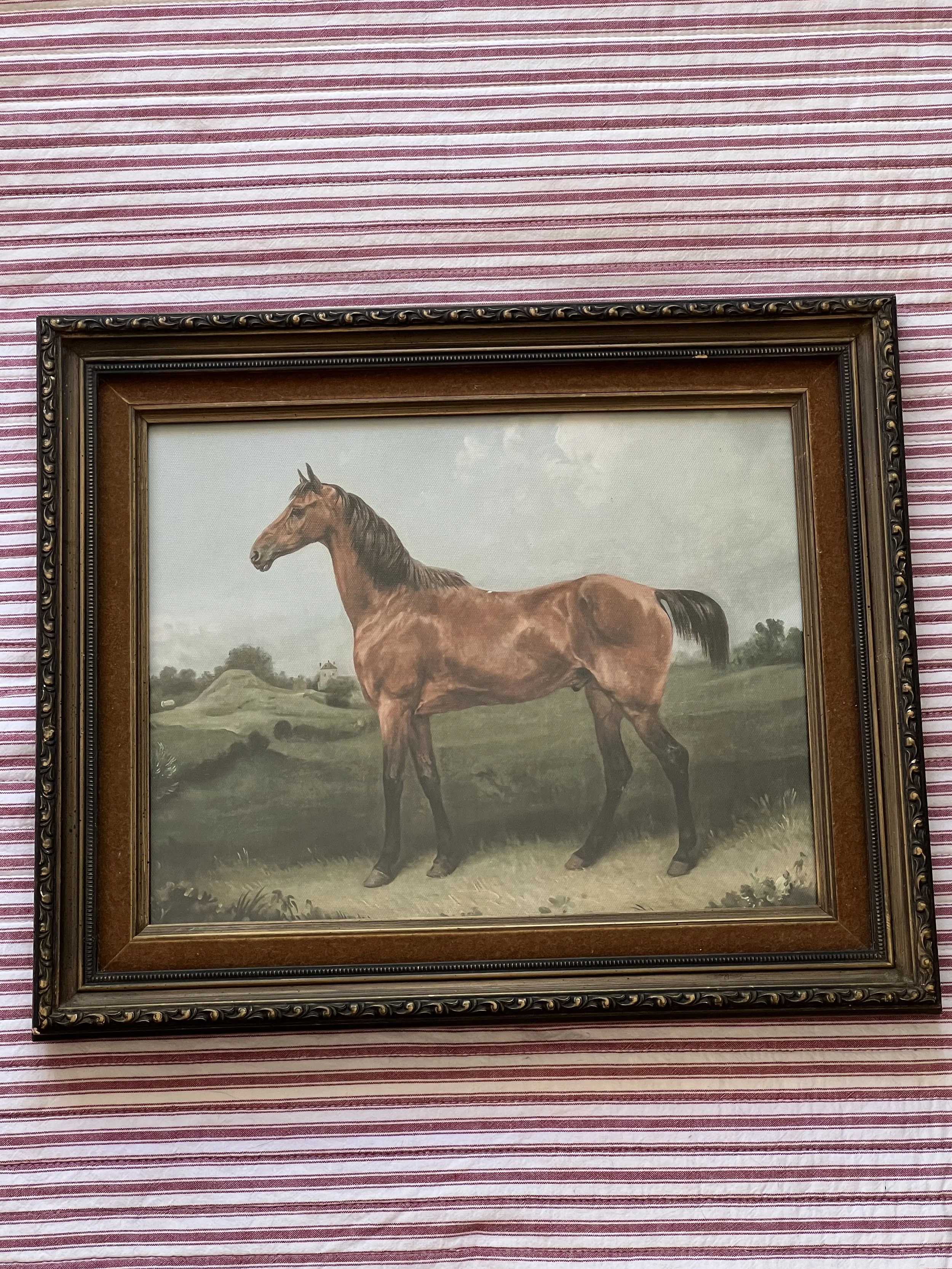 ‘Horse’ framed print