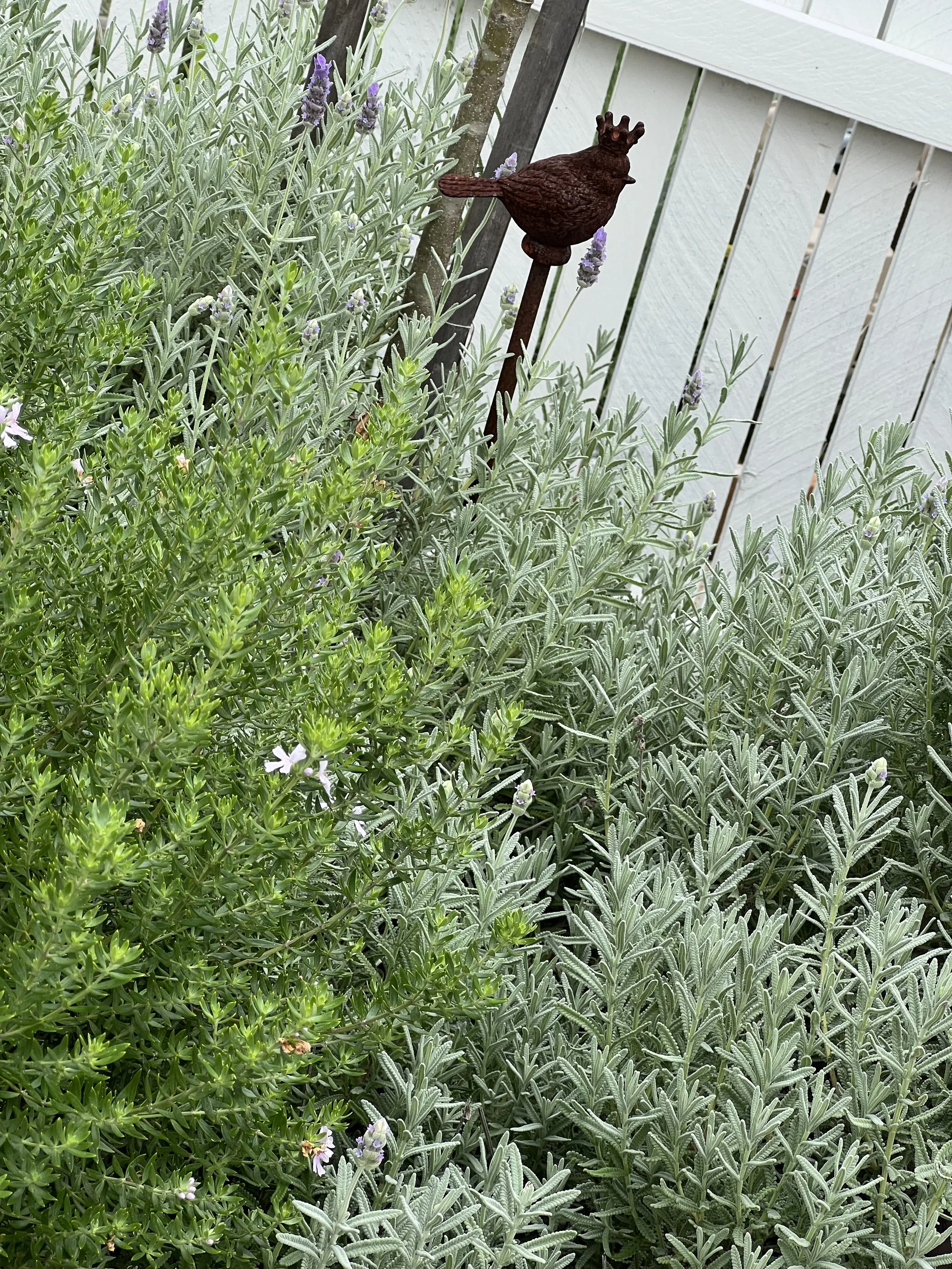 Royal Bird Cast Iron Garden Stake