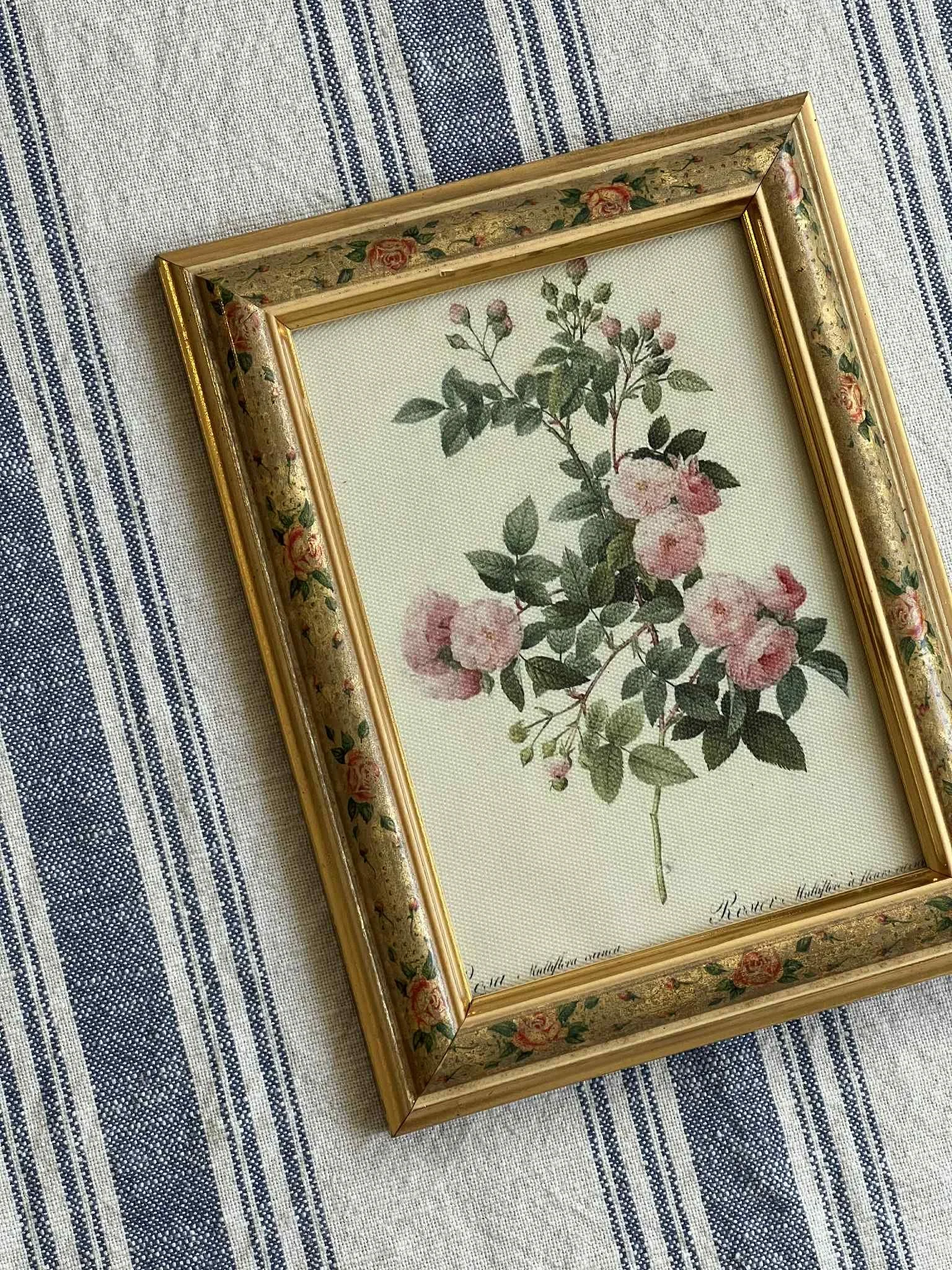 30a5aa25-d126-426f-aa16-b64ce5d6ae41.jpg