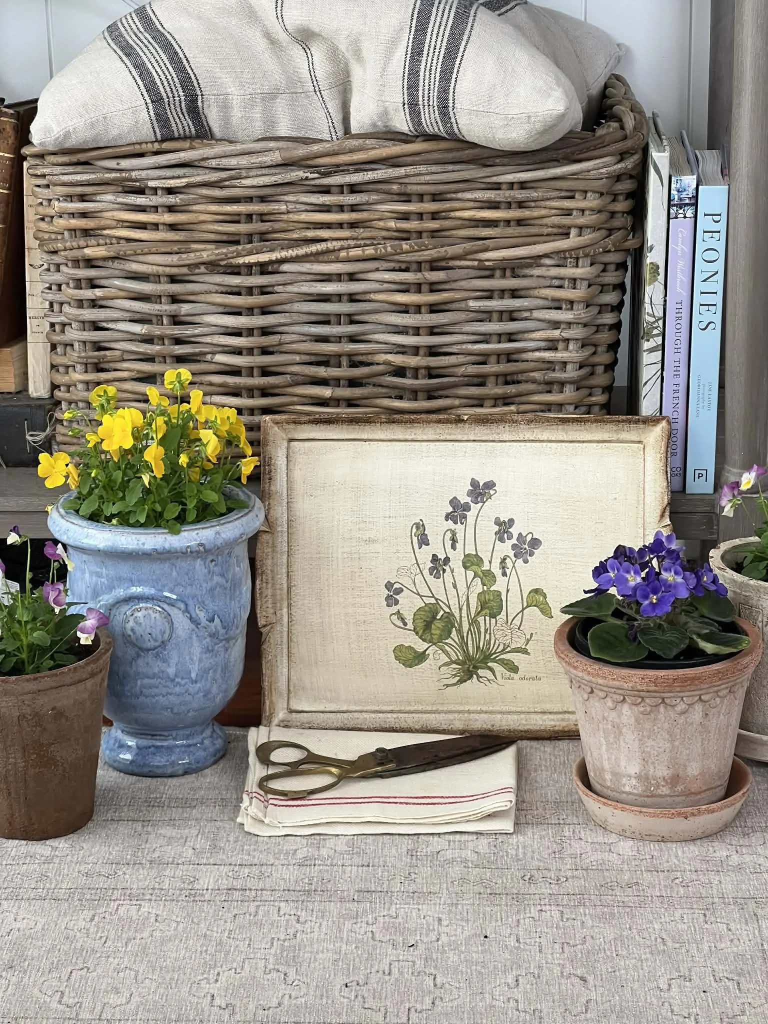 Viola Wooden Tray