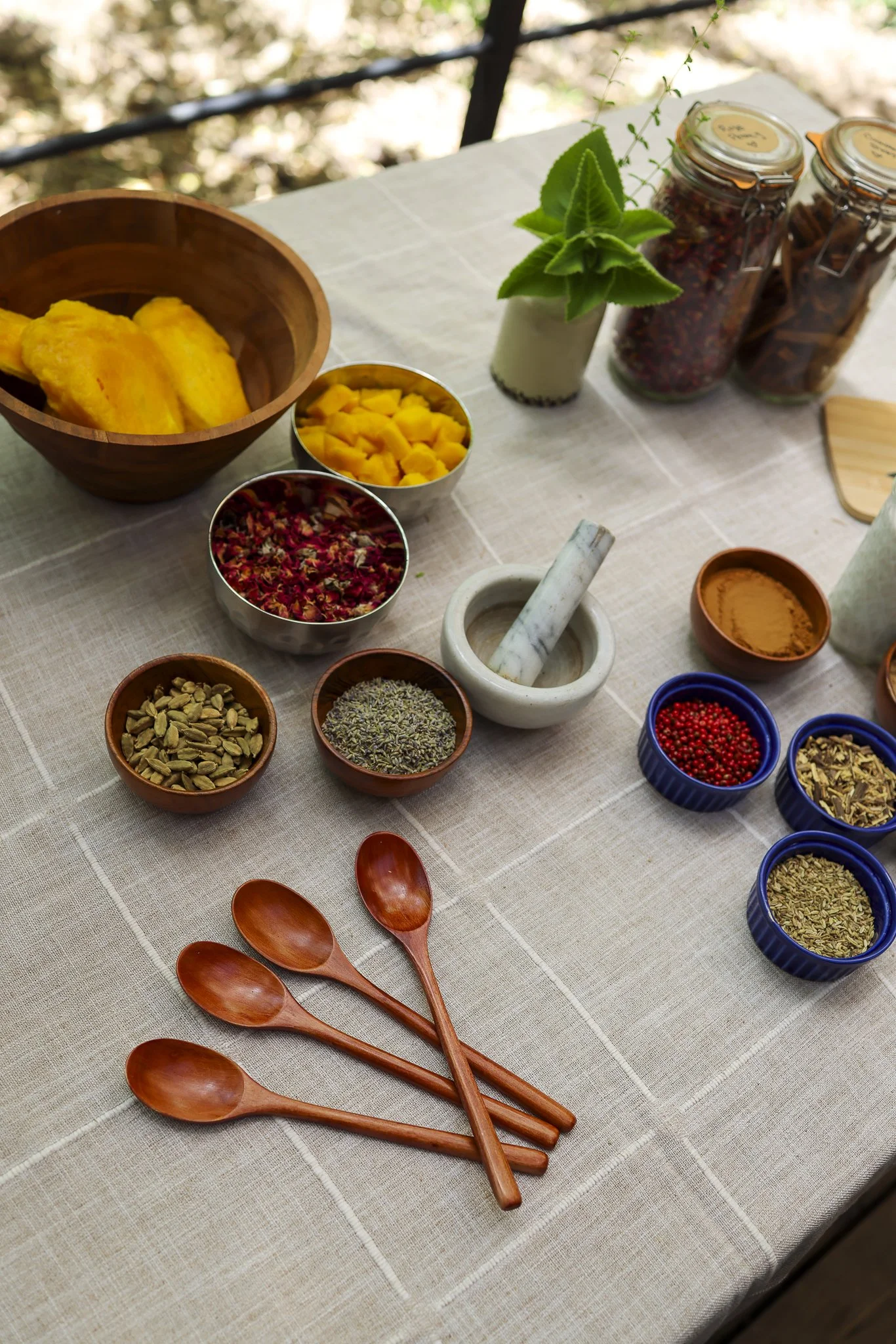 © Gabriela Pérez-Silver__Finca Victoria_Ayurvedic Retreat_March_2026-1-133.jpg