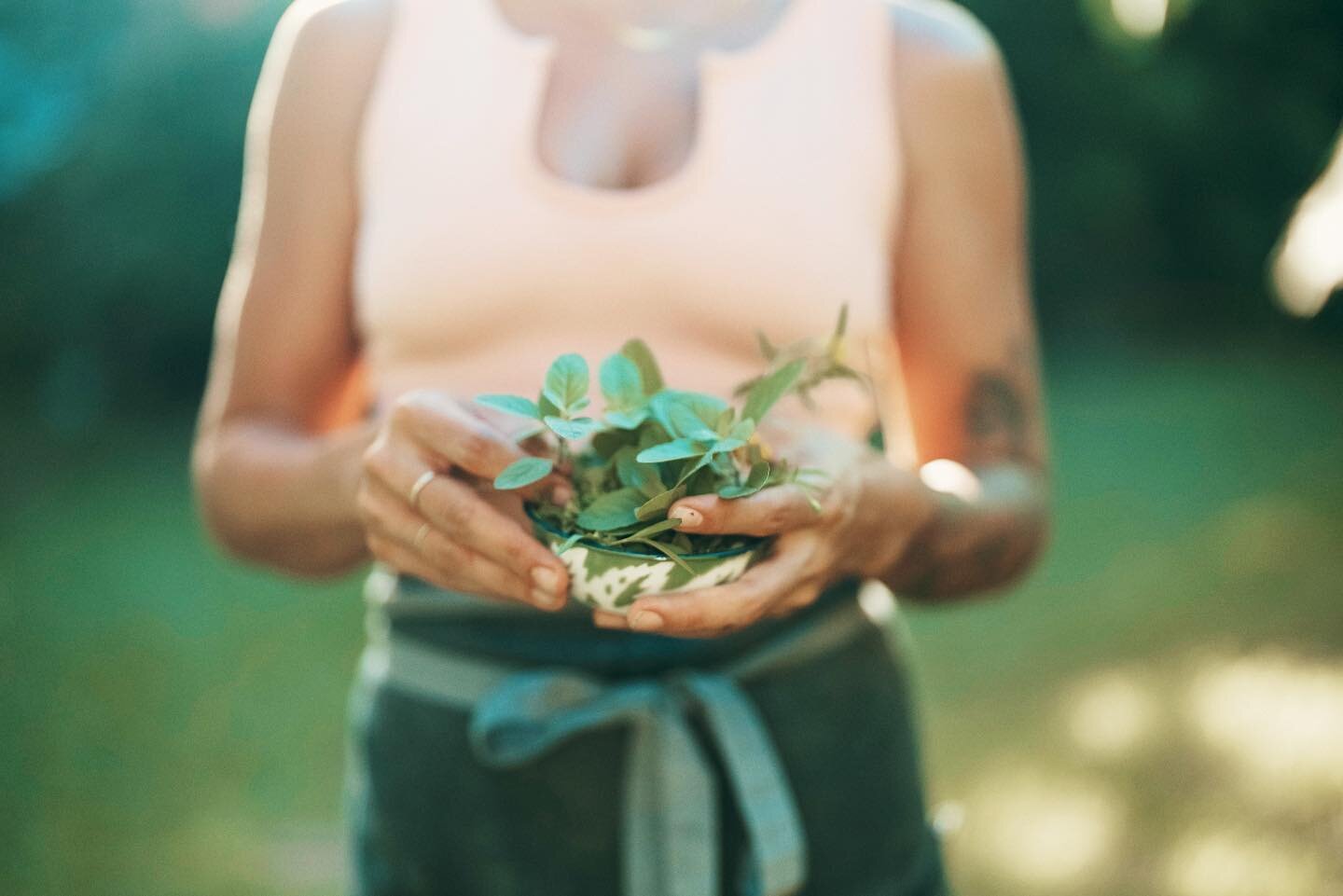 Today, we pause to express our deepest gratitude for the hands that lovingly prepare our meals, the incredible community that has shaped and supported Finca Victoria, and every single staff member who brings warmth and hospitality to life within our 