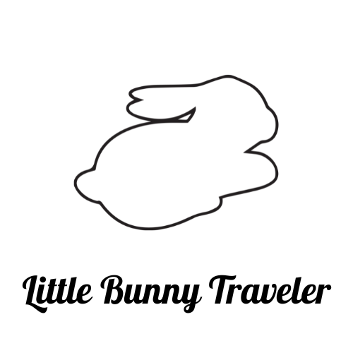 Little Bunny Traveler