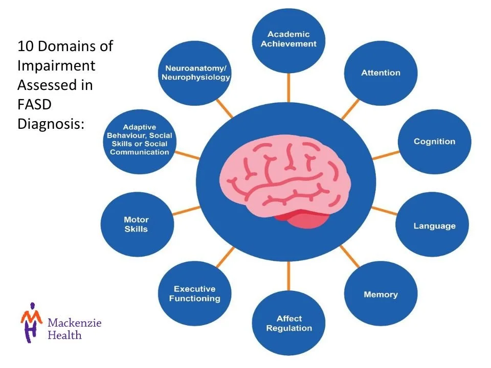 01 - 10 Domains of Impairment Assessed in FASD Diagnosis.jpg