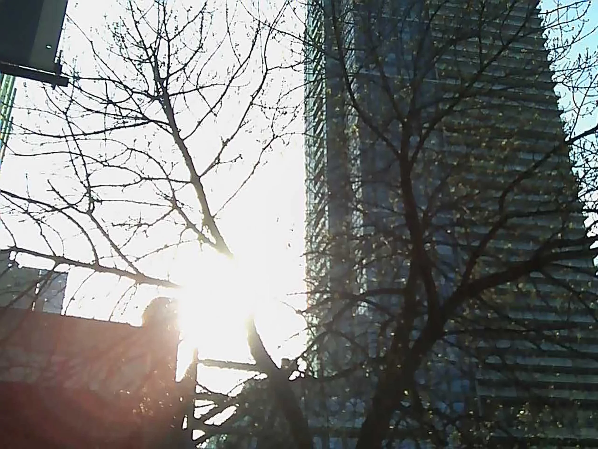 Taken with my ANCIENT Camera