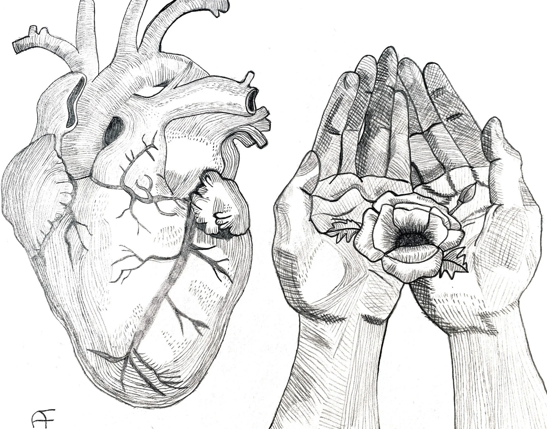 May You Have an Open Heart