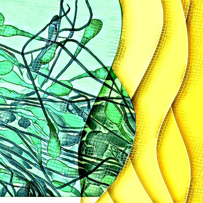 IMG_1293_Abstract Sperm Green Yellow.JPG