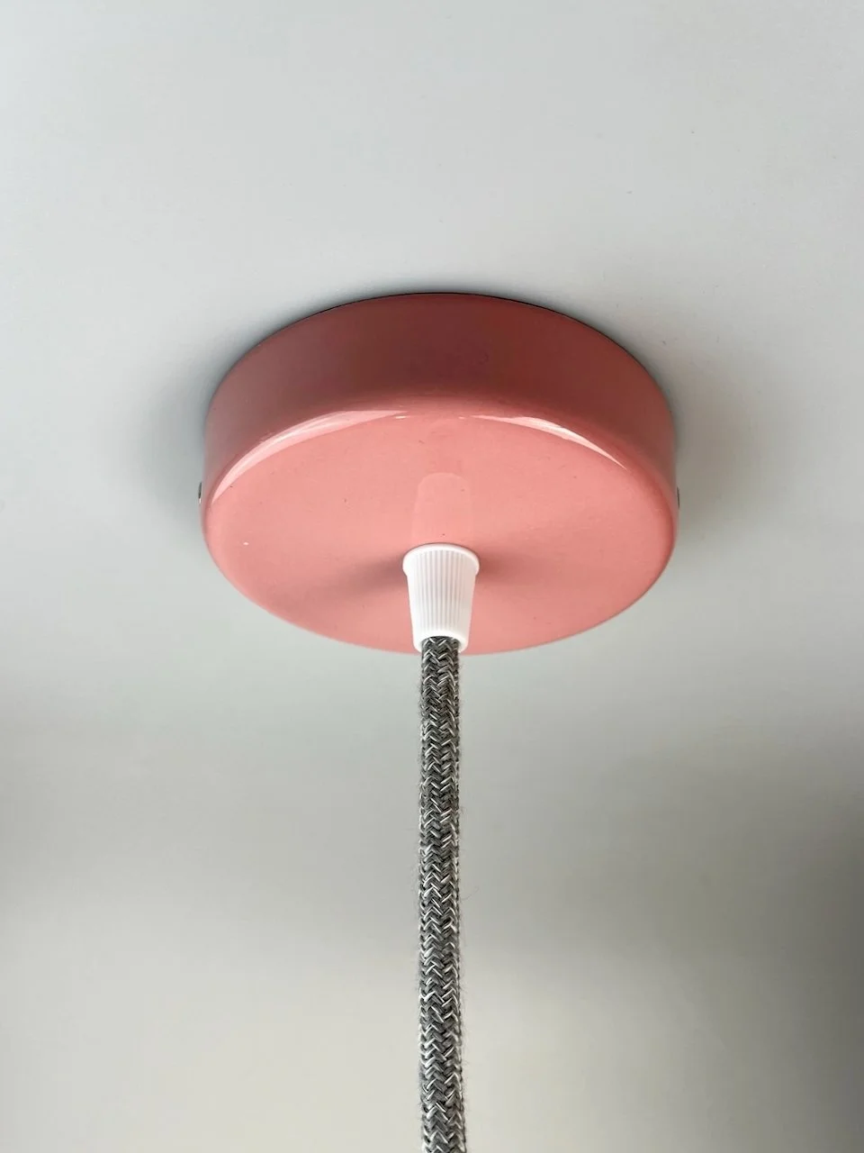 florões-disco rosa.jpeg
