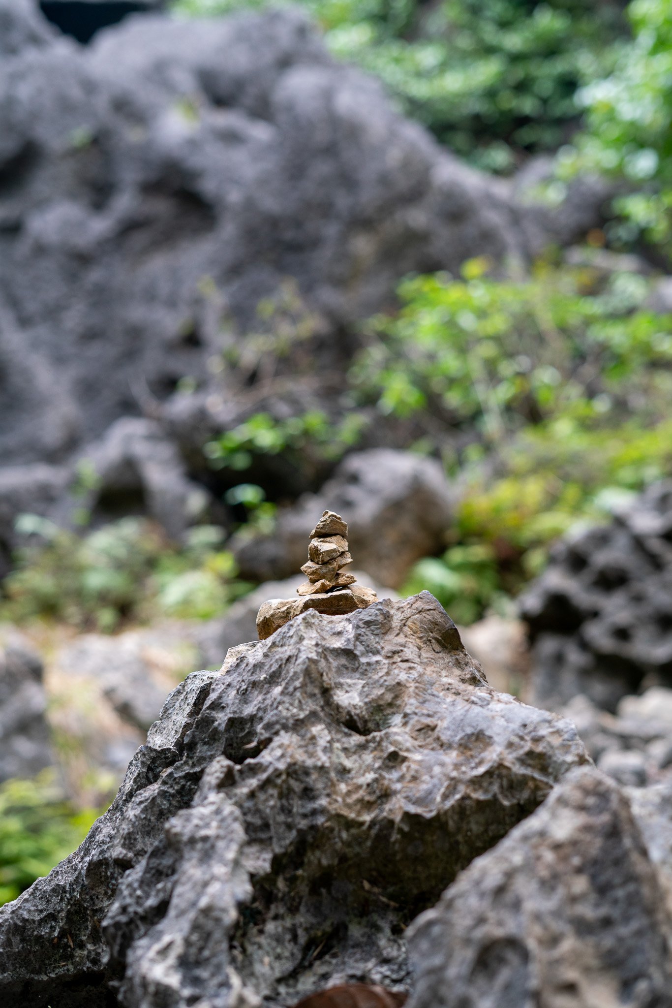 _DSC3266.jpg