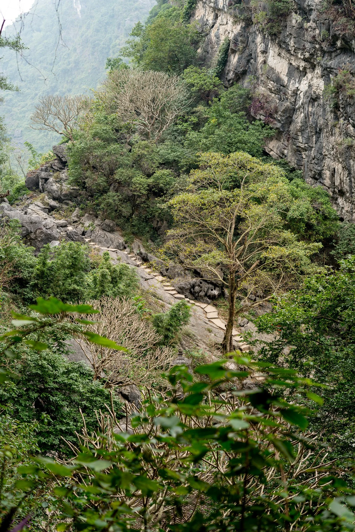 _DSC3259.jpg