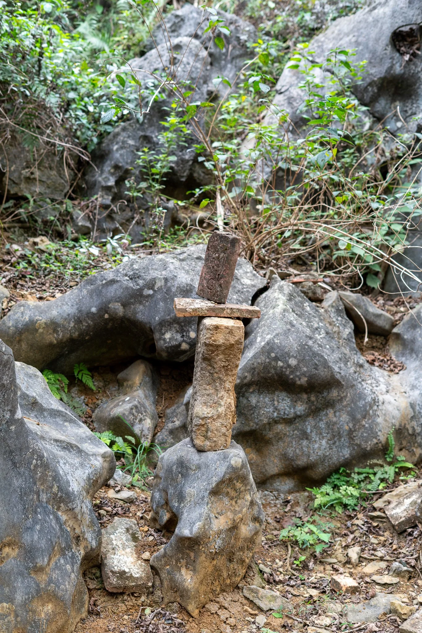 _DSC3274.jpg