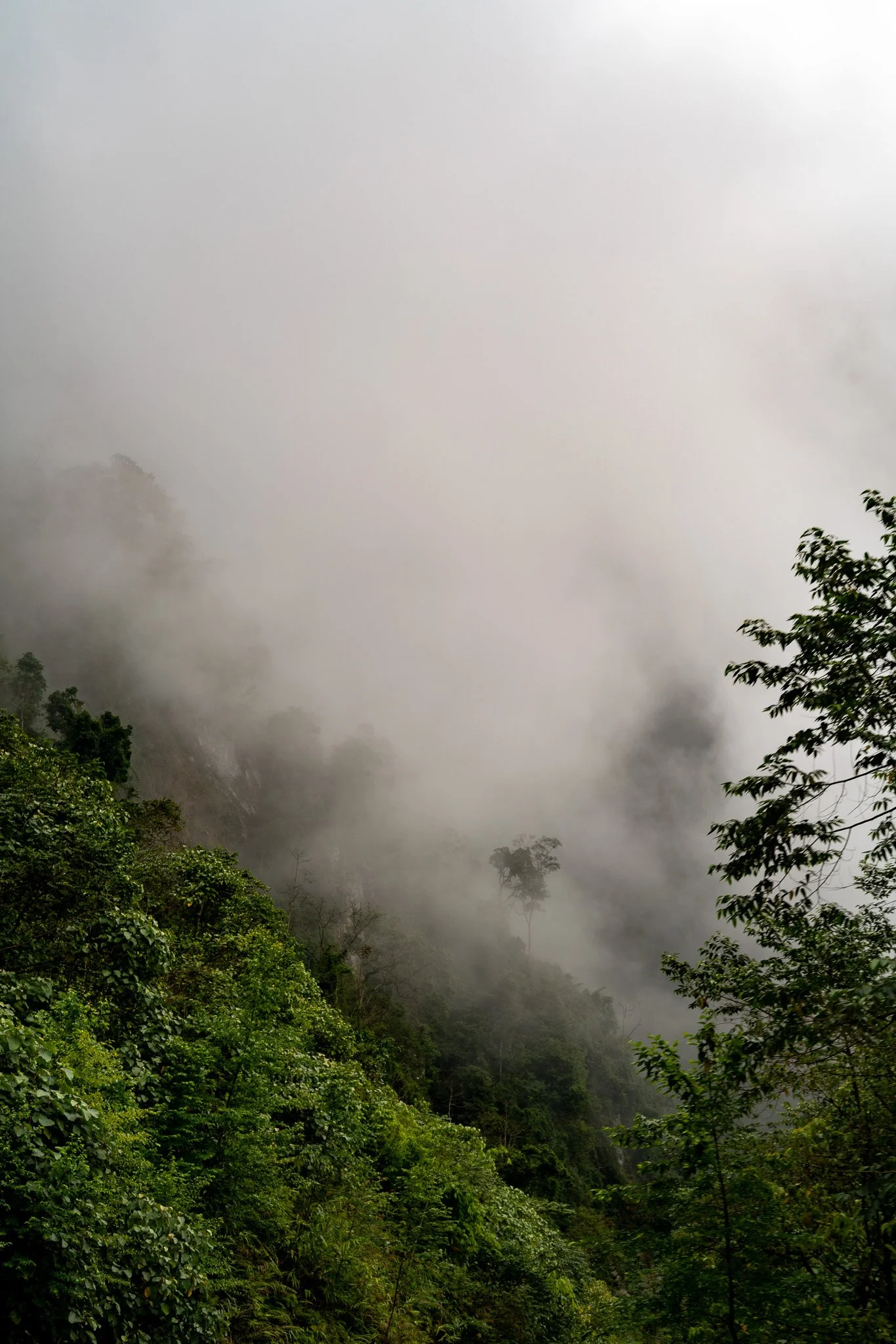 _DSC3374.jpg