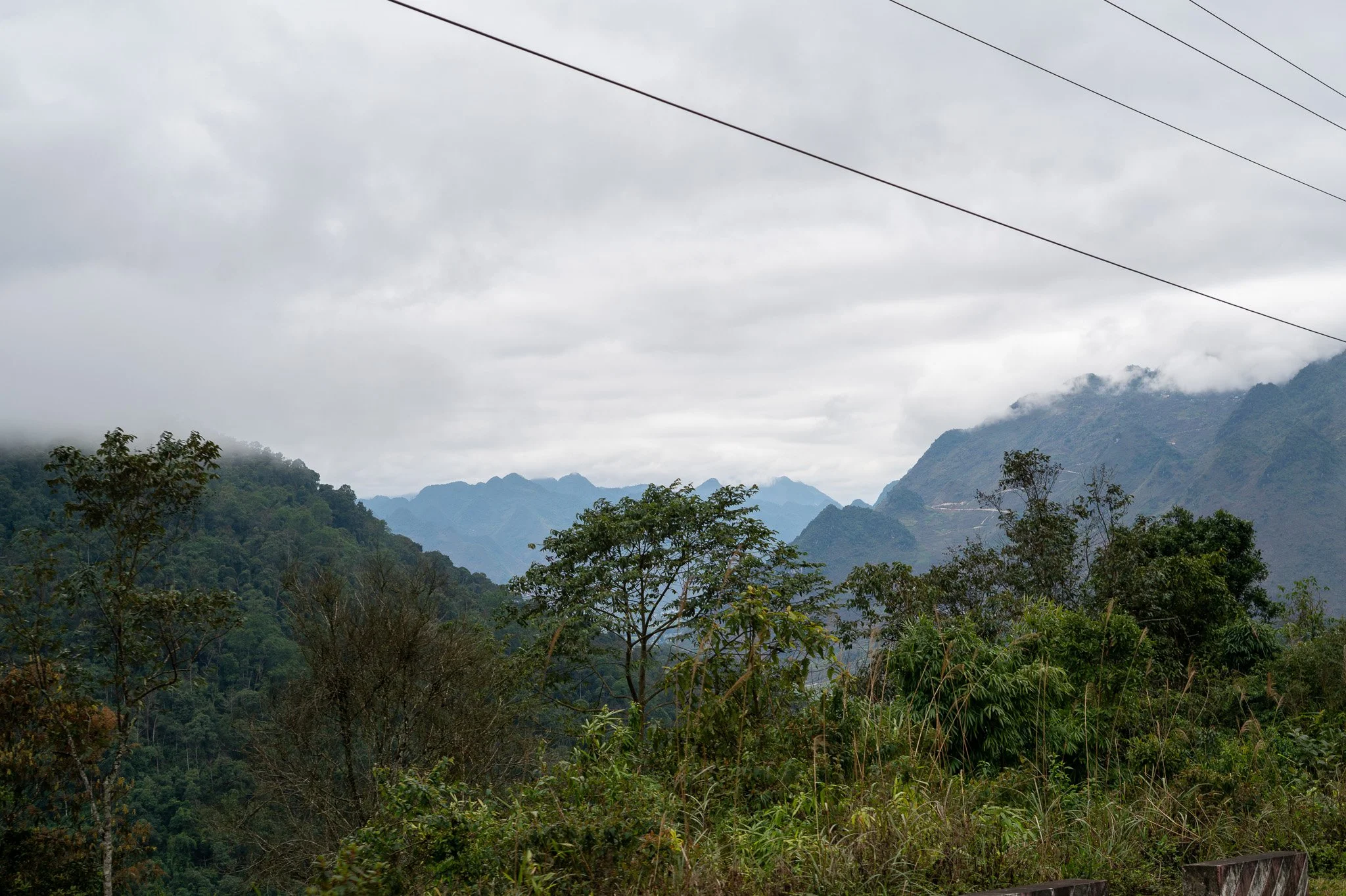 _DSC3380.jpg