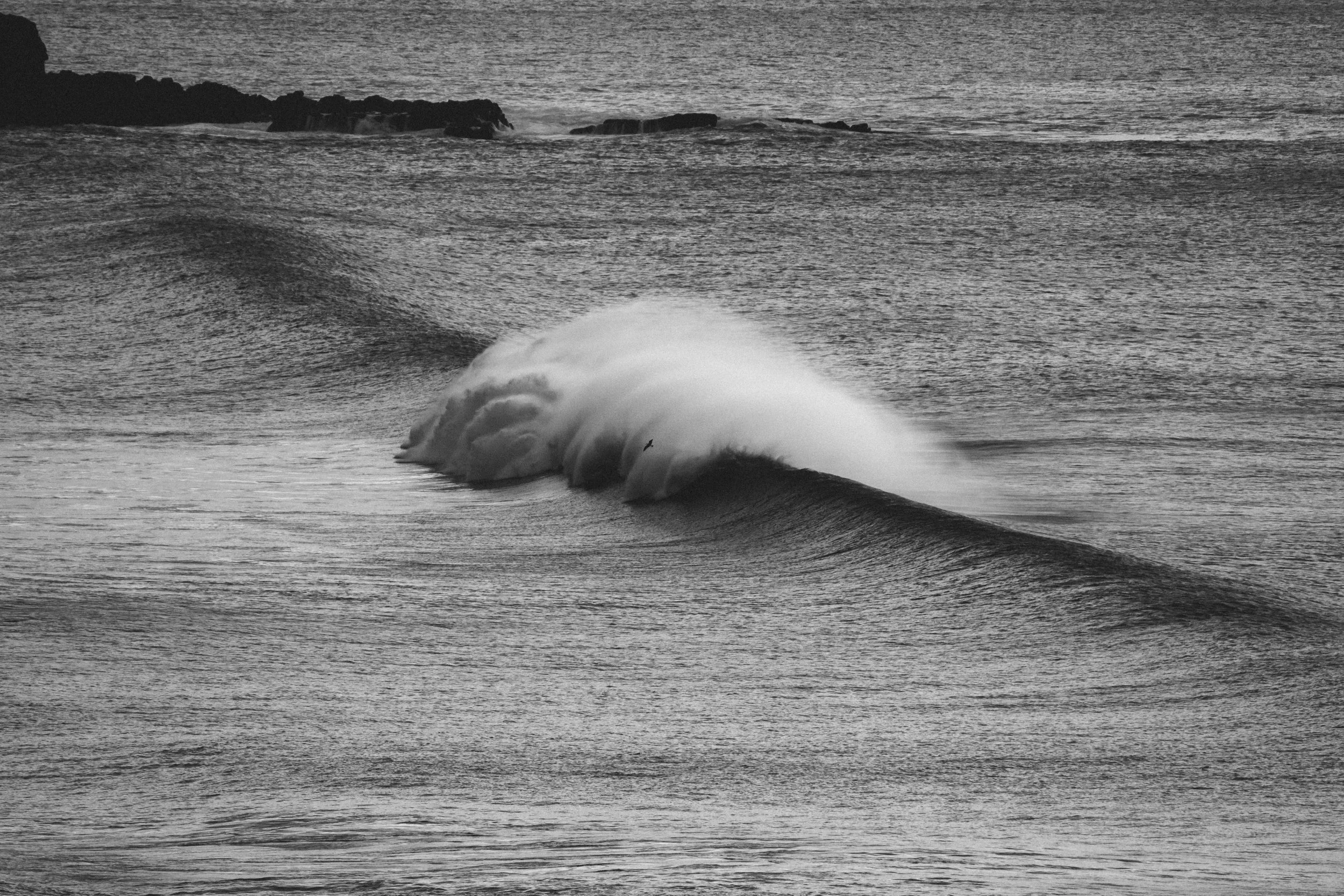 DSC_0841.jpg