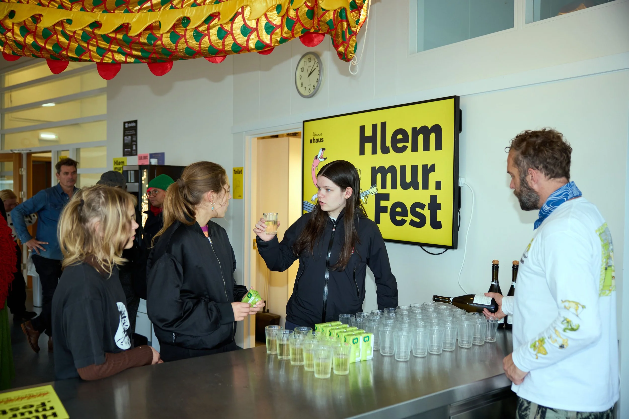 HlemmurFest_9.jpg