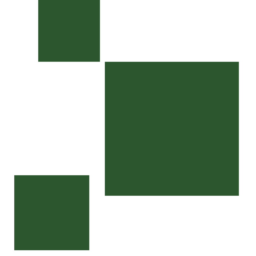 Four dark green squares of varying sizes arranged in a scattered pattern on a transparent background.