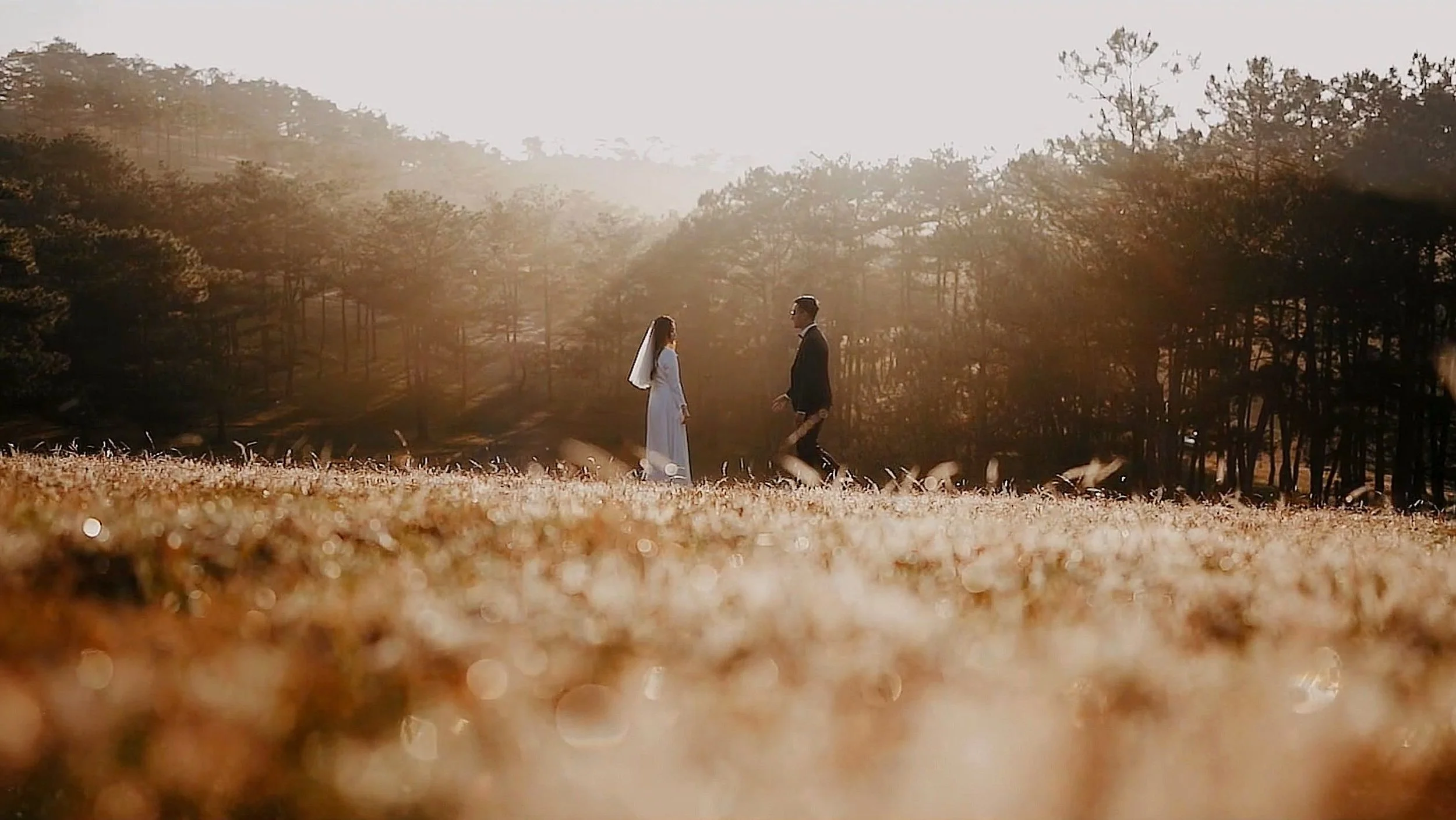 Quang + Loan | Pre-Weding Film in Da Lat