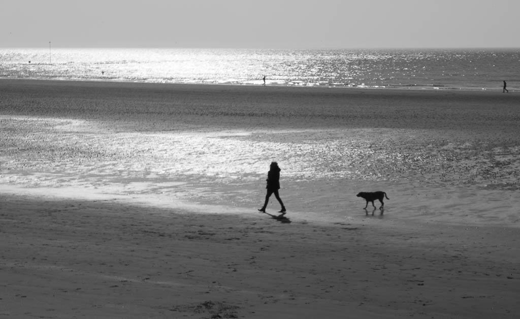 17_L1000835.jpg