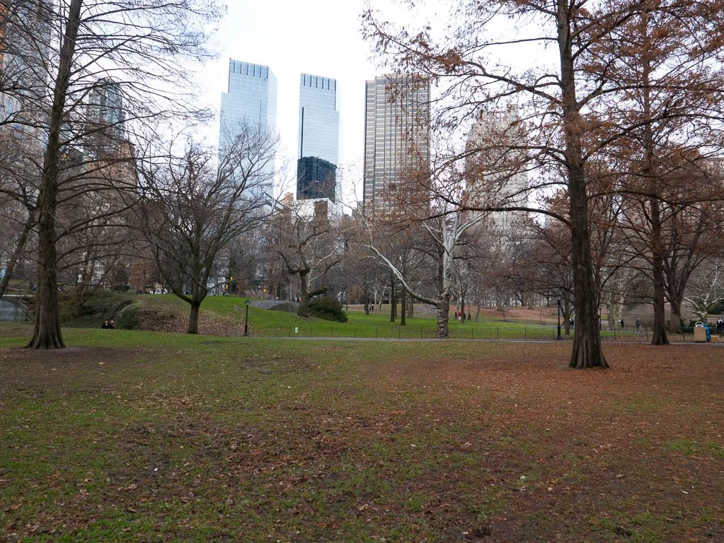 18_L1000252.jpg